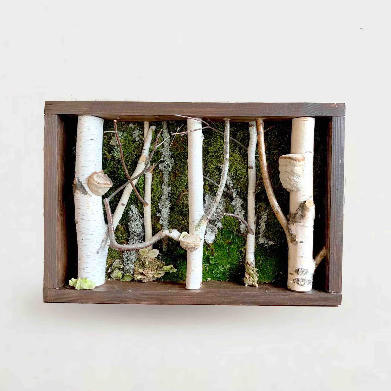 Birch Tree Moss Wall Art – Handmade Forestcore Wall Decor with Natural Birch Branches
