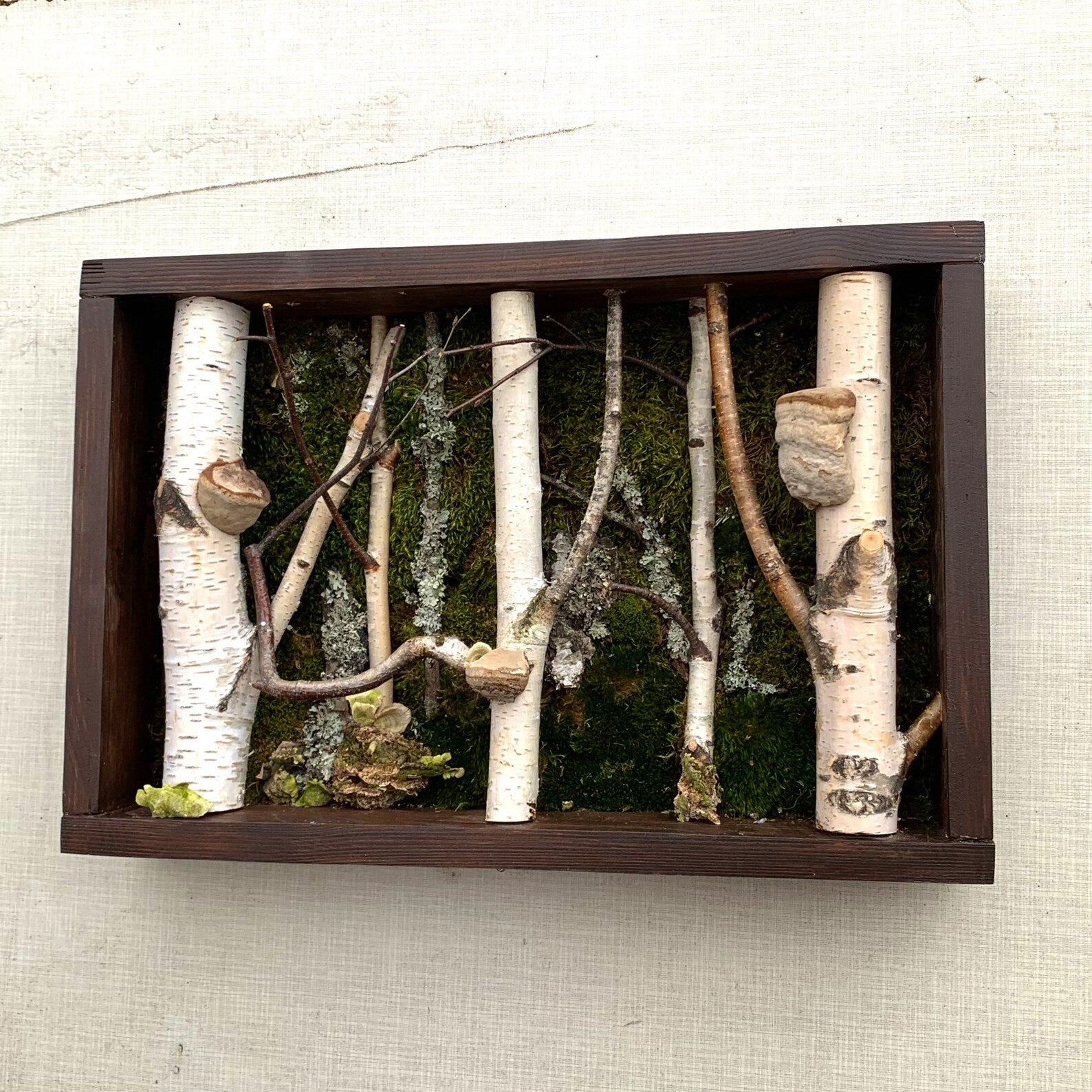 Birch Tree Moss Wall Art – Handmade Forestcore Wall Decor with Natural Birch Branches
