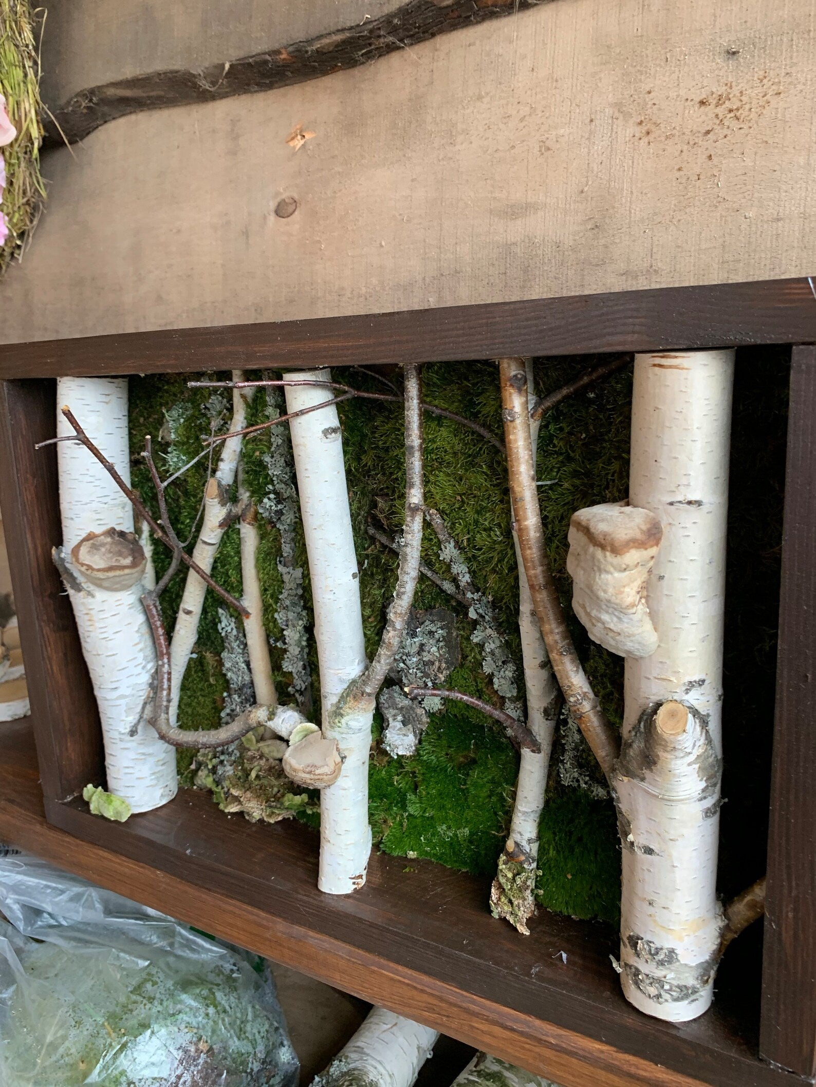 Birch Tree Moss Wall Art – Handmade Forestcore Wall Decor with Natural Birch Branches