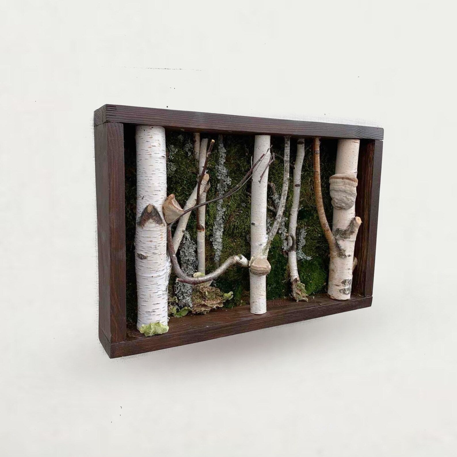 Birch Tree Moss Wall Art – Handmade Forestcore Wall Decor with Natural Birch Branches