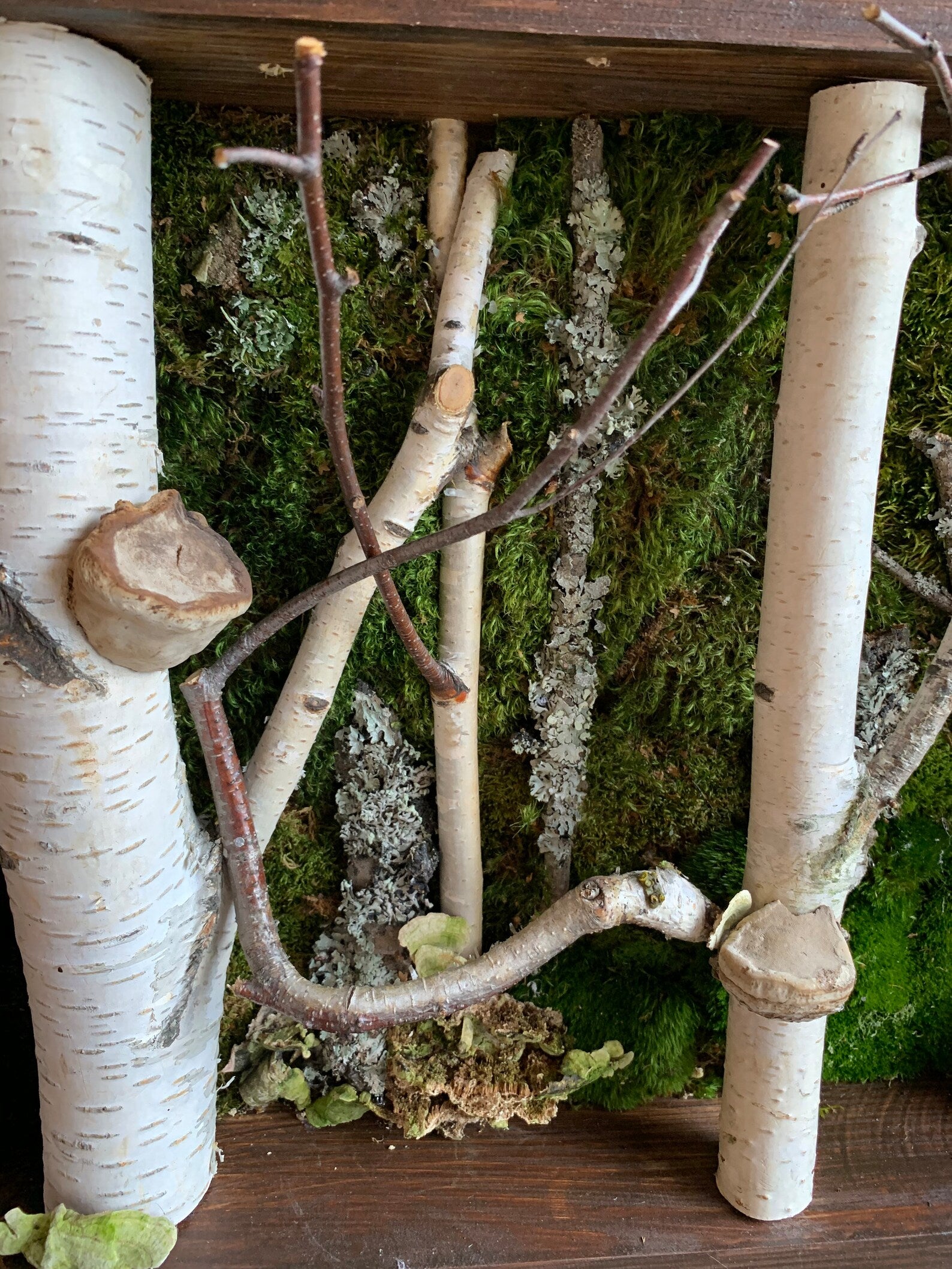 Birch Tree Moss Wall Art – Handmade Forestcore Wall Decor with Natural Birch Branches