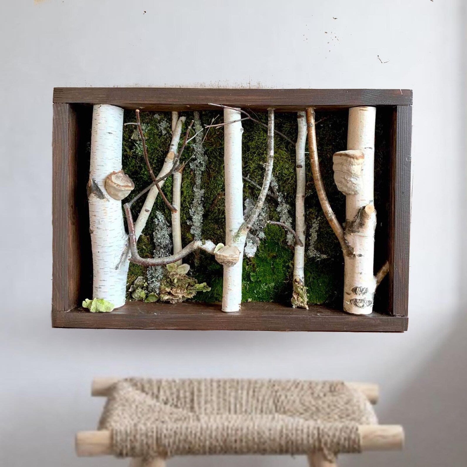 Birch Tree Moss Wall Art – Handmade Forestcore Wall Decor with Natural Birch Branches