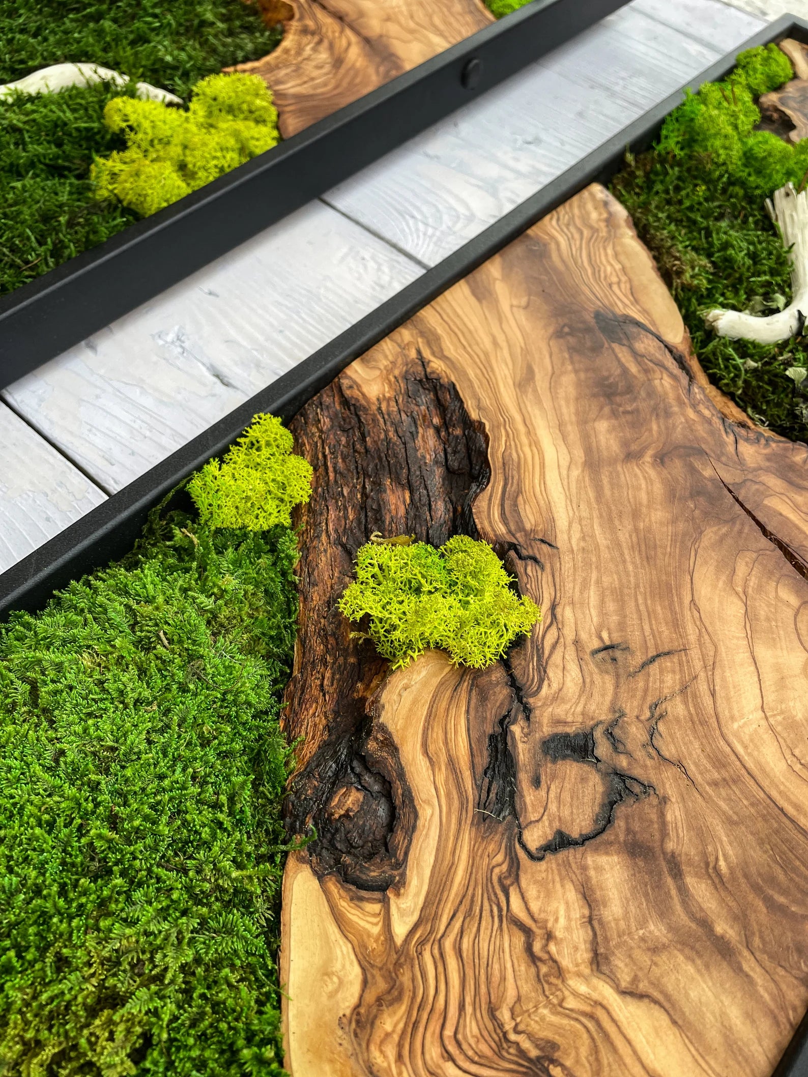 Moss Wall Art – Preserved Moss & Wood Wall Decor for Home and Office