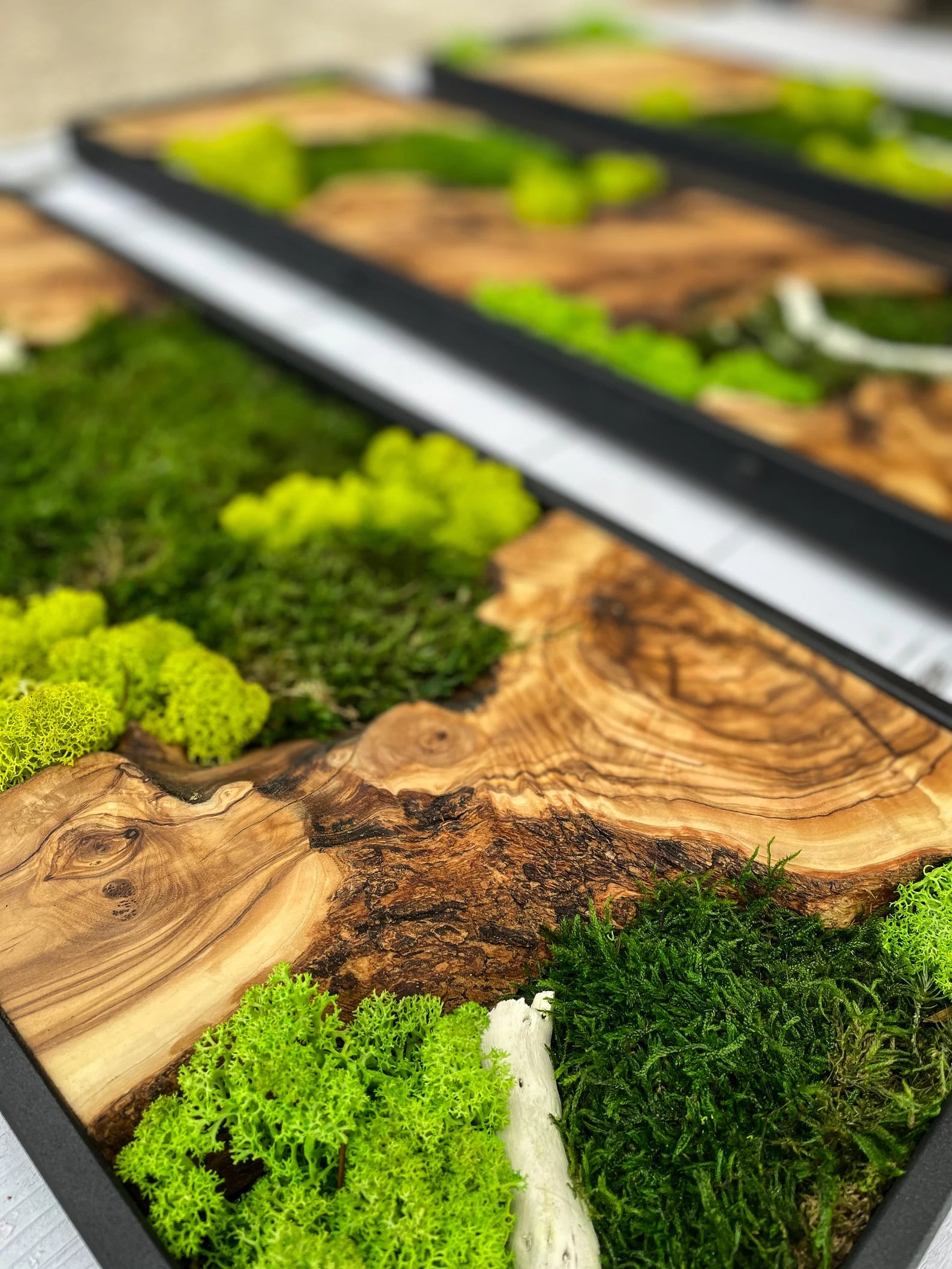 Moss Wall Art – Preserved Moss & Wood Wall Decor for Home and Office