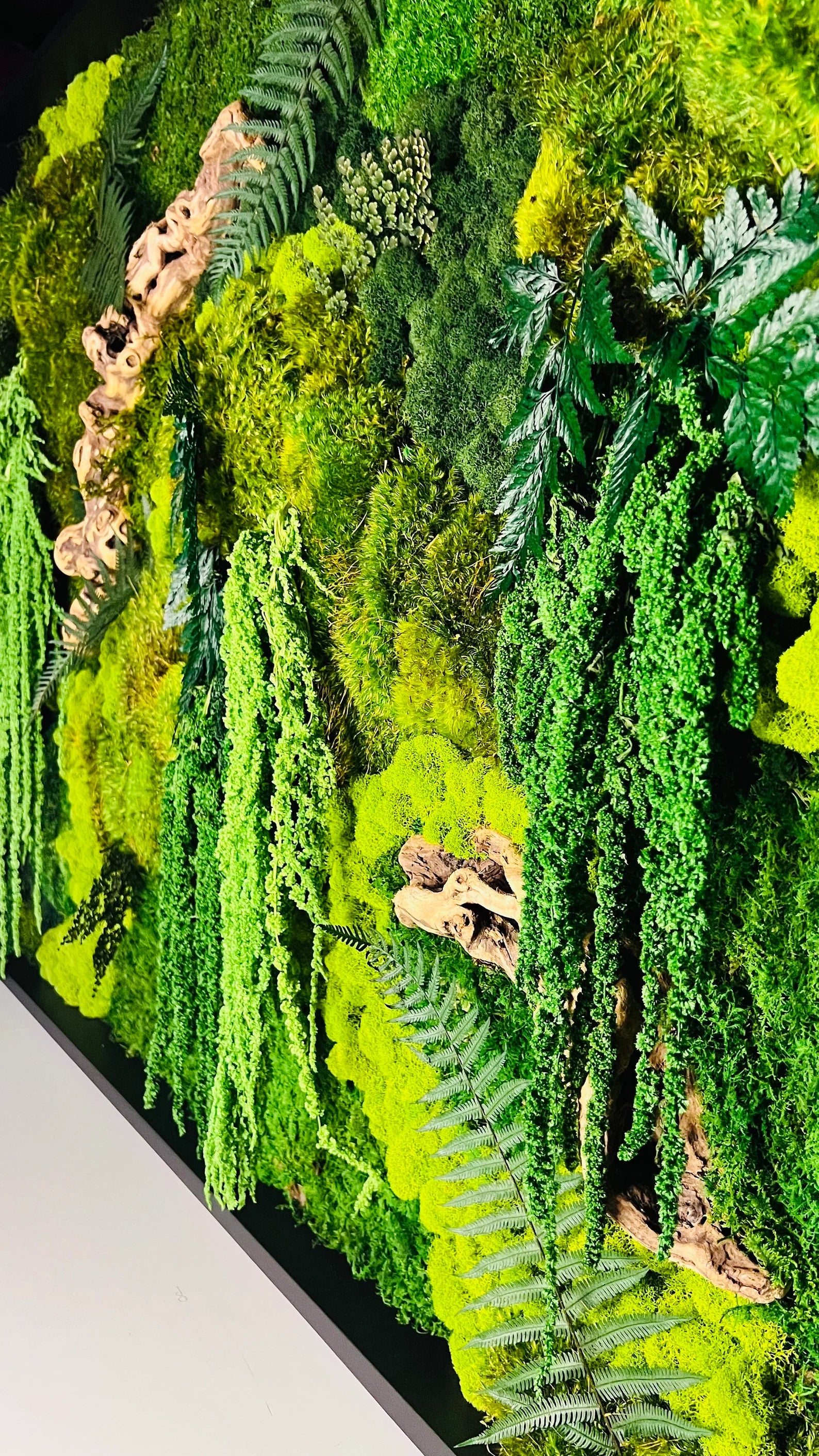 The Forgotten Forest – Preserved Moss Wall Art with Grapewood & Amaranths