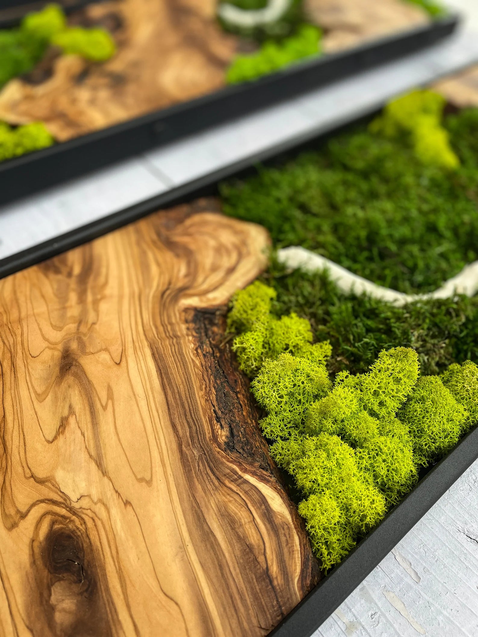 Moss Wall Art – Preserved Moss & Wood Wall Decor for Home and Office