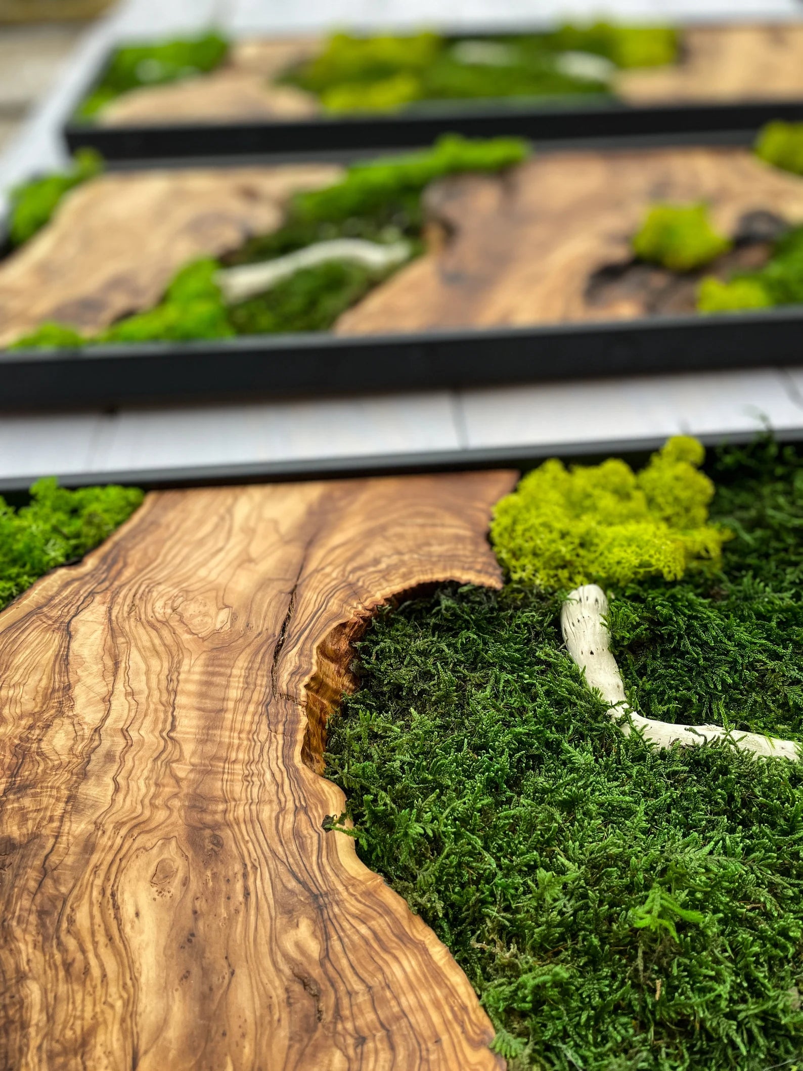 Moss Wall Art – Preserved Moss & Wood Wall Decor for Home and Office