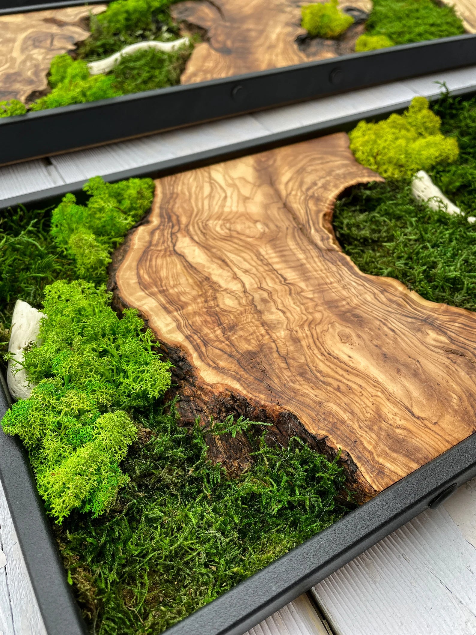 Moss Wall Art – Preserved Moss & Wood Wall Decor for Home and Office