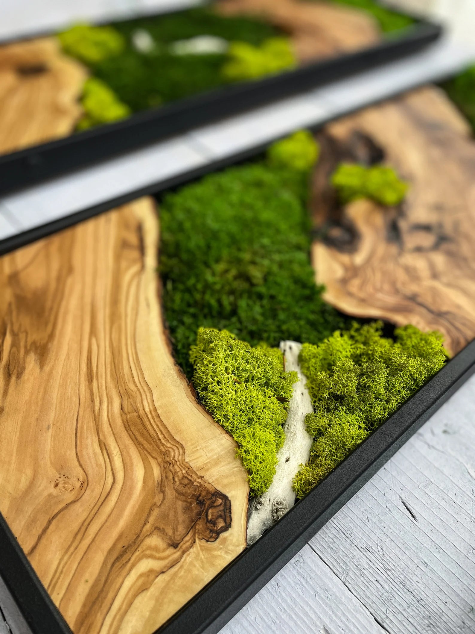 Moss Wall Art – Preserved Moss & Wood Wall Decor for Home and Office