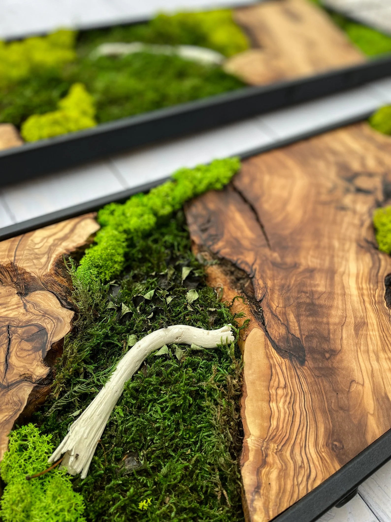 Moss Wall Art – Preserved Moss & Wood Wall Decor for Home and Office