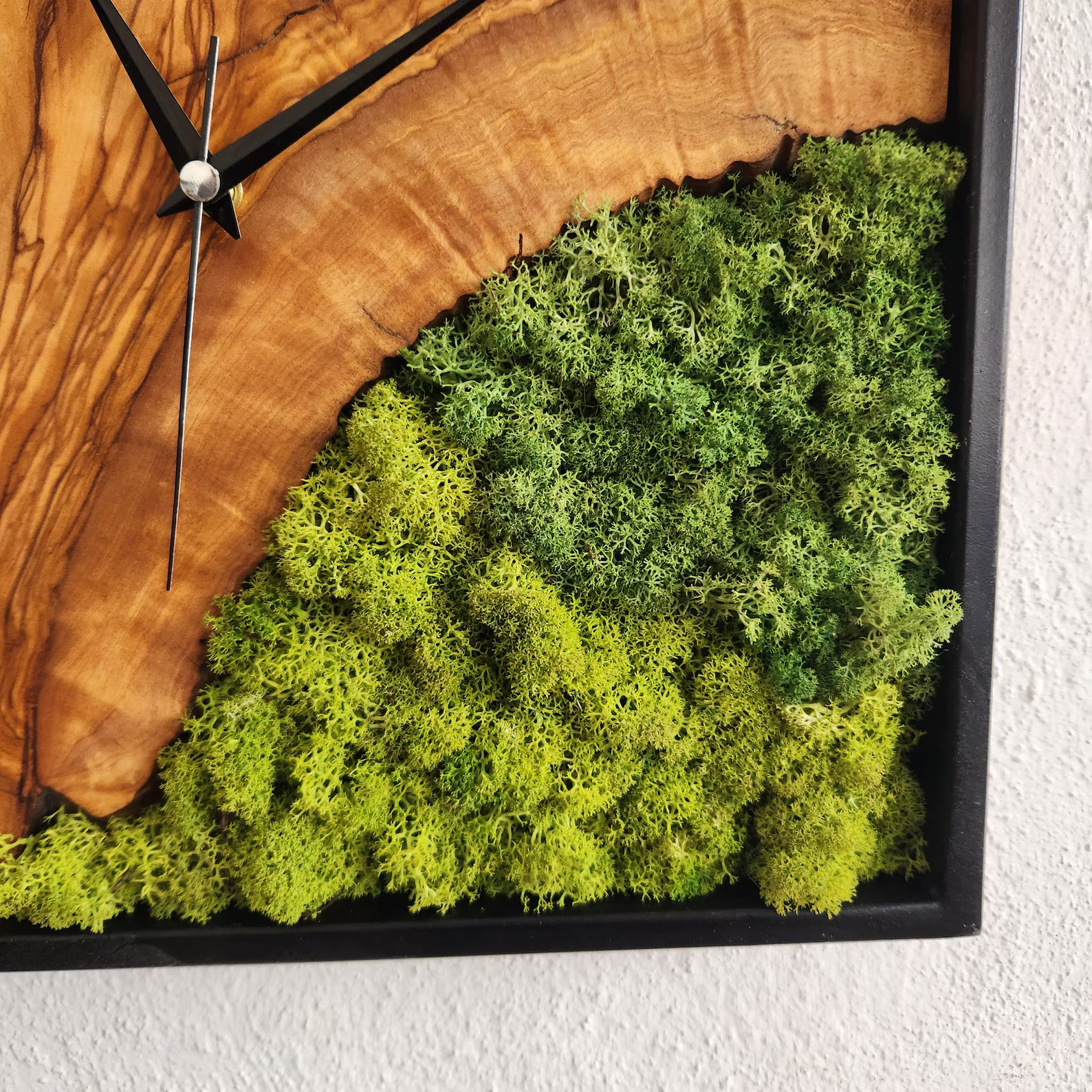 Olive Wood & Moss Wall Clock – Metal Frame, Stabilized Preserved Moss Art