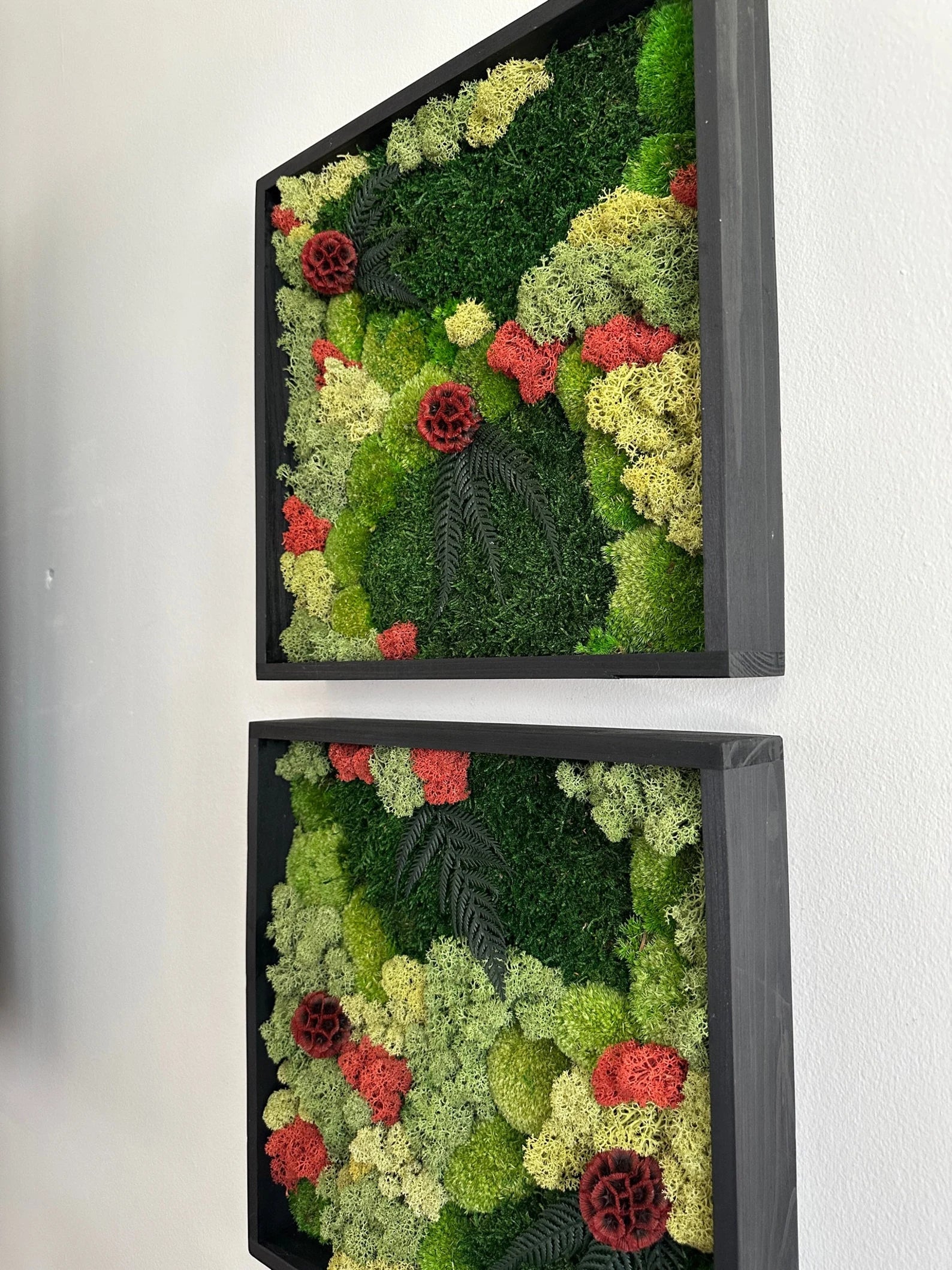 Square Moss Wall Art – Preserved Moss Frame with Flowers & Fern