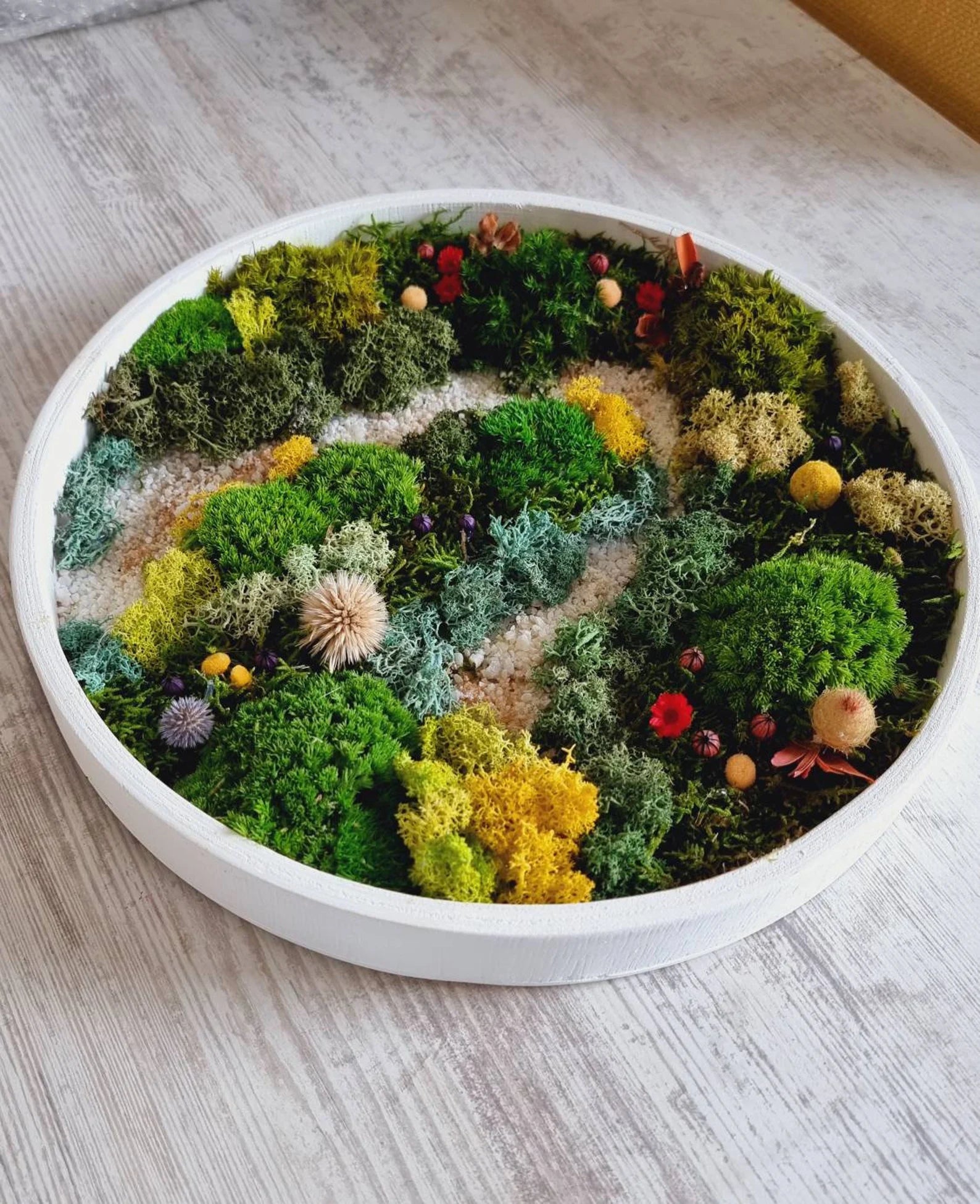 Moss Wall Art Set of Three – Preserved Round Green Wall Decor | Nature-Inspired Living Art for Home