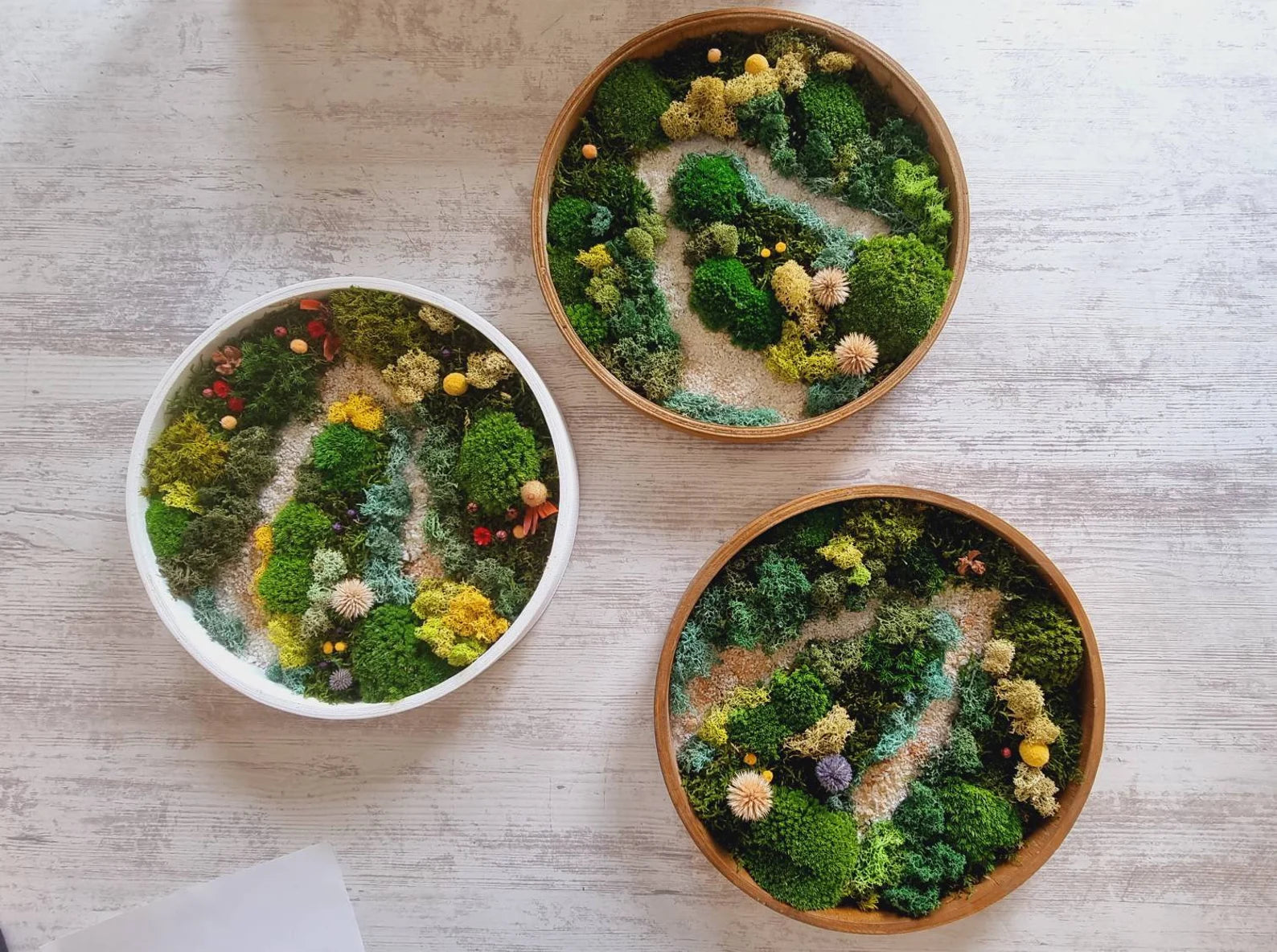 Moss Wall Art Set of Three – Preserved Round Green Wall Decor | Nature-Inspired Living Art for Home