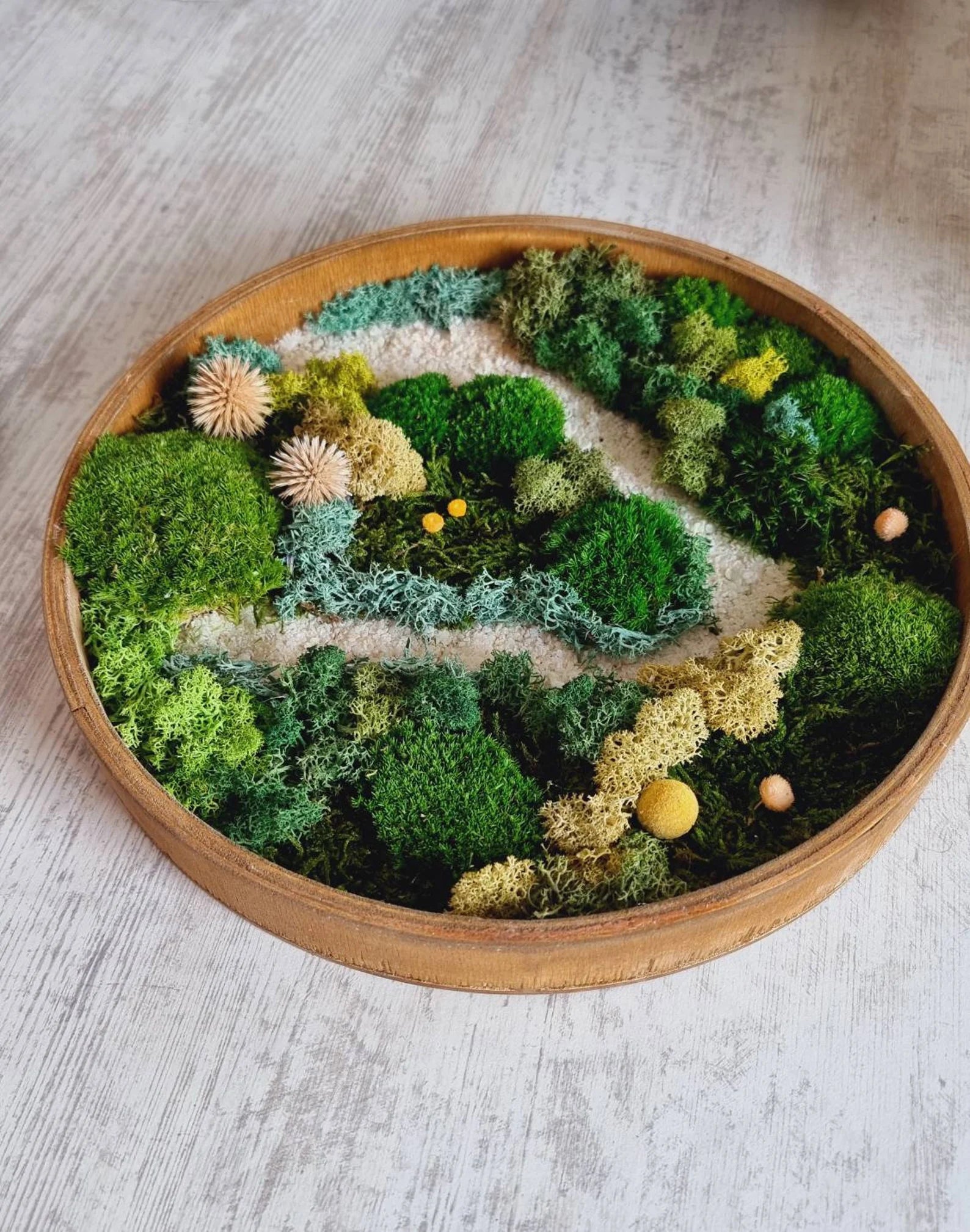 Moss Wall Art Set of Three – Preserved Round Green Wall Decor | Nature-Inspired Living Art for Home