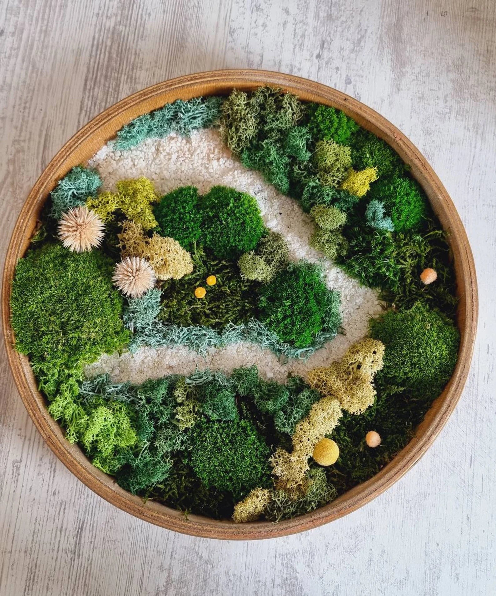Moss Wall Art Set of Three – Preserved Round Green Wall Decor | Nature-Inspired Living Art for Home