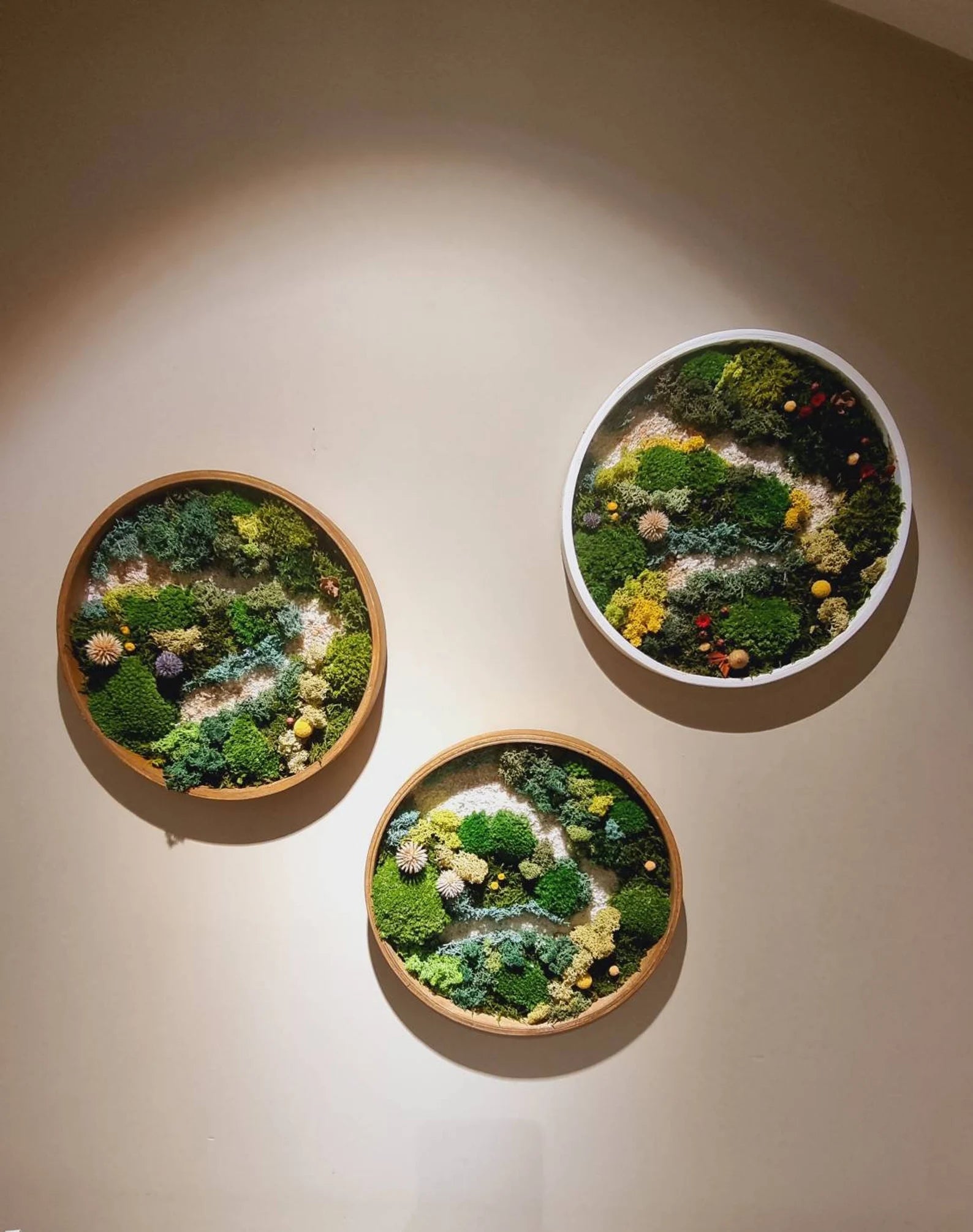Moss Wall Art Set of Three – Preserved Round Green Wall Decor | Nature-Inspired Living Art for Home