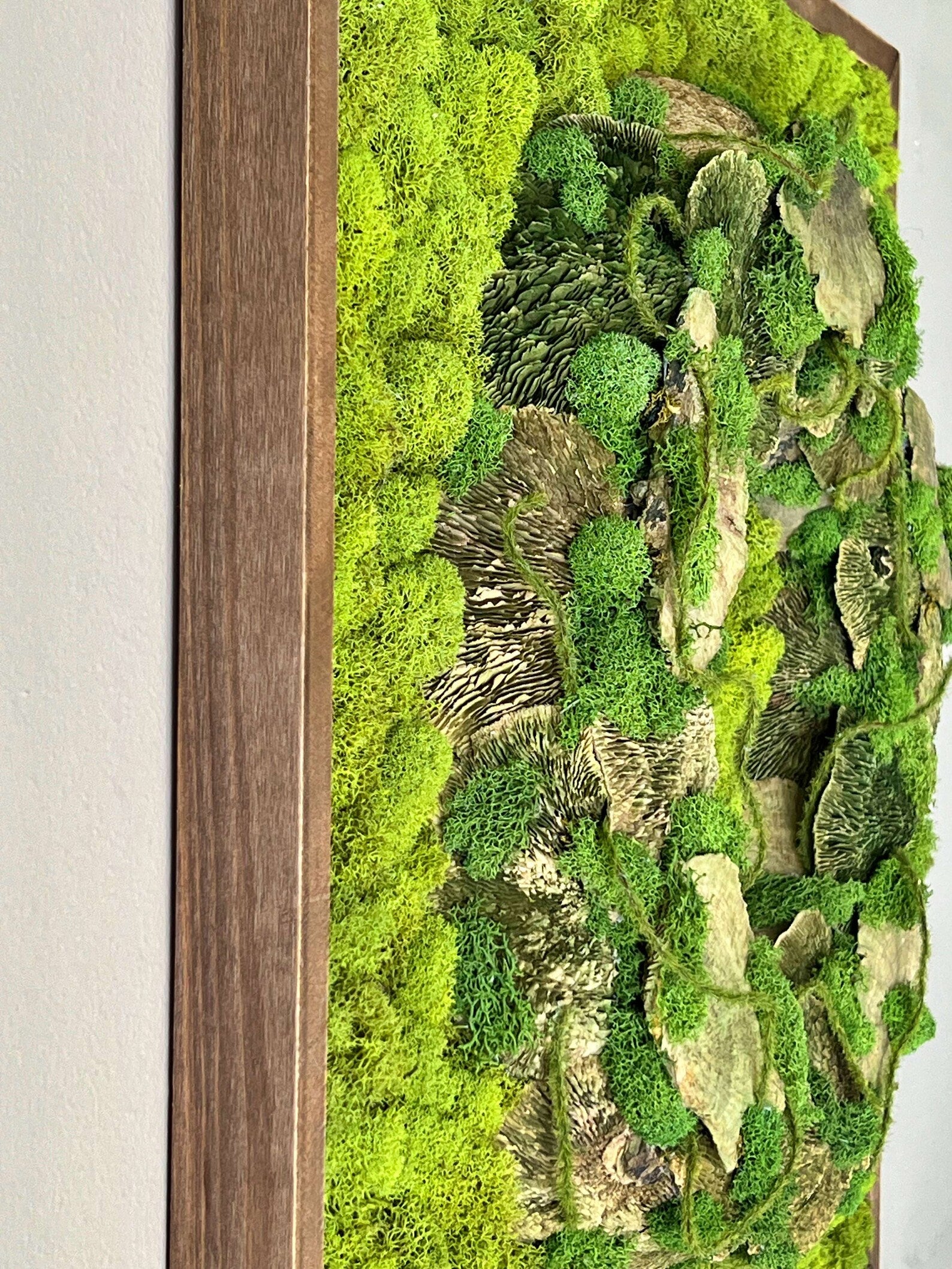 Natural Moss Artwork | Handmade Preserved Wall Decoration