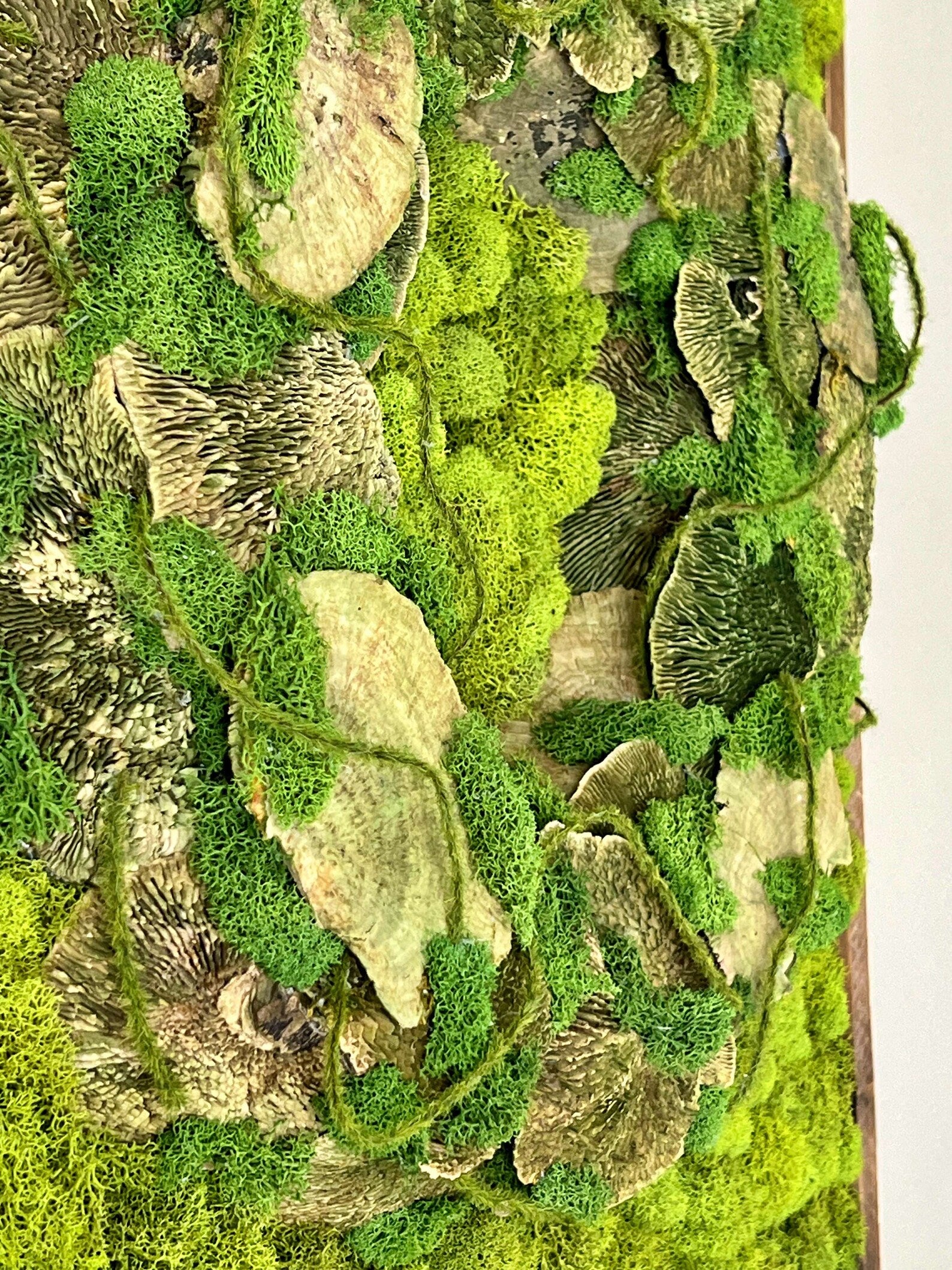 Natural Moss Artwork | Handmade Preserved Wall Decoration