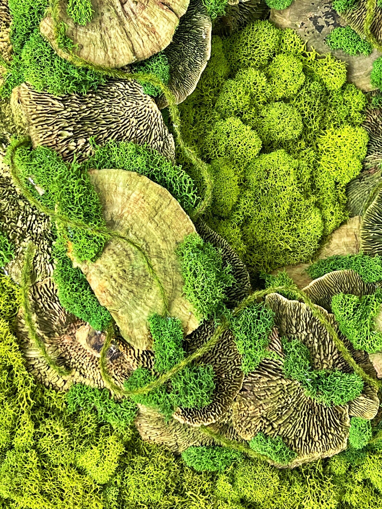 Natural Moss Artwork | Handmade Preserved Wall Decoration