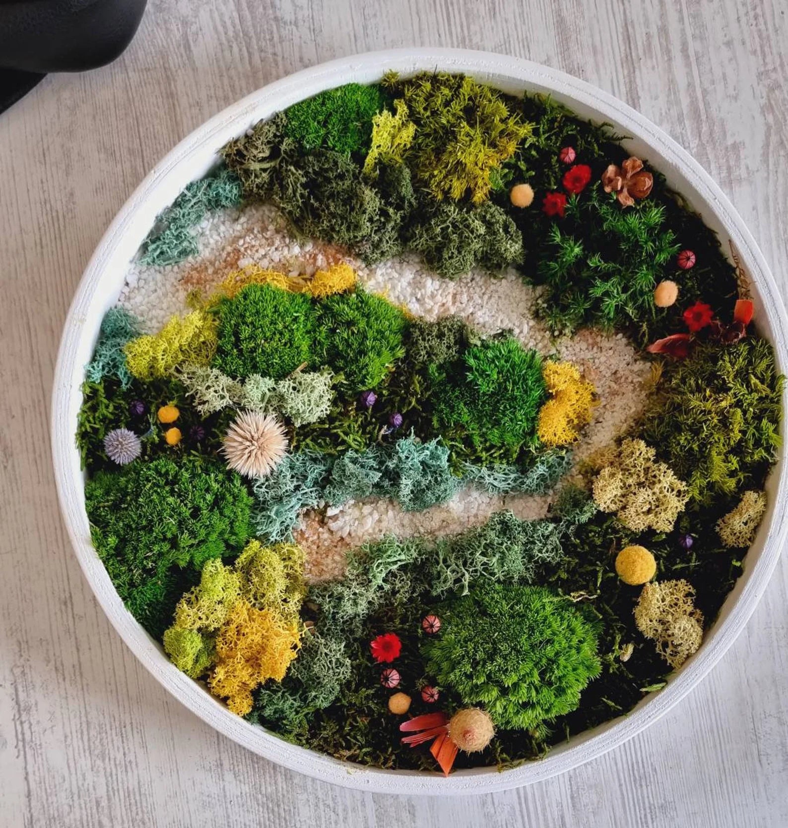 Moss Wall Art Set of Three – Preserved Round Green Wall Decor | Nature-Inspired Living Art for Home