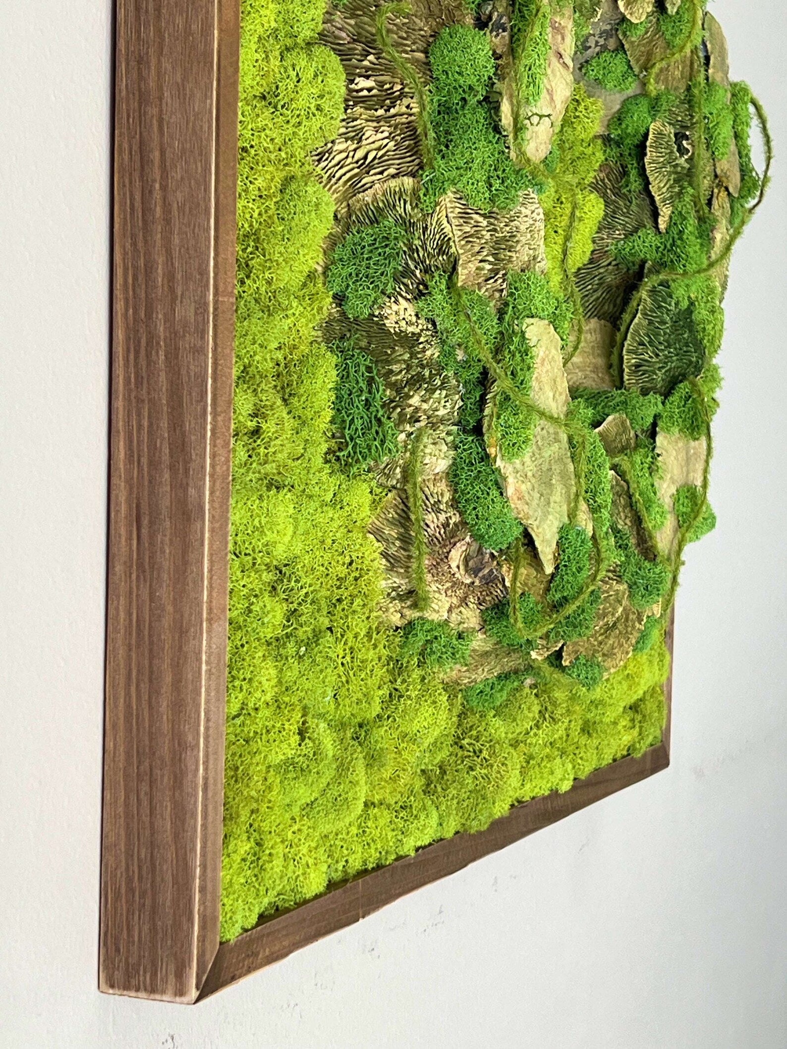 Natural Moss Artwork | Handmade Preserved Wall Decoration