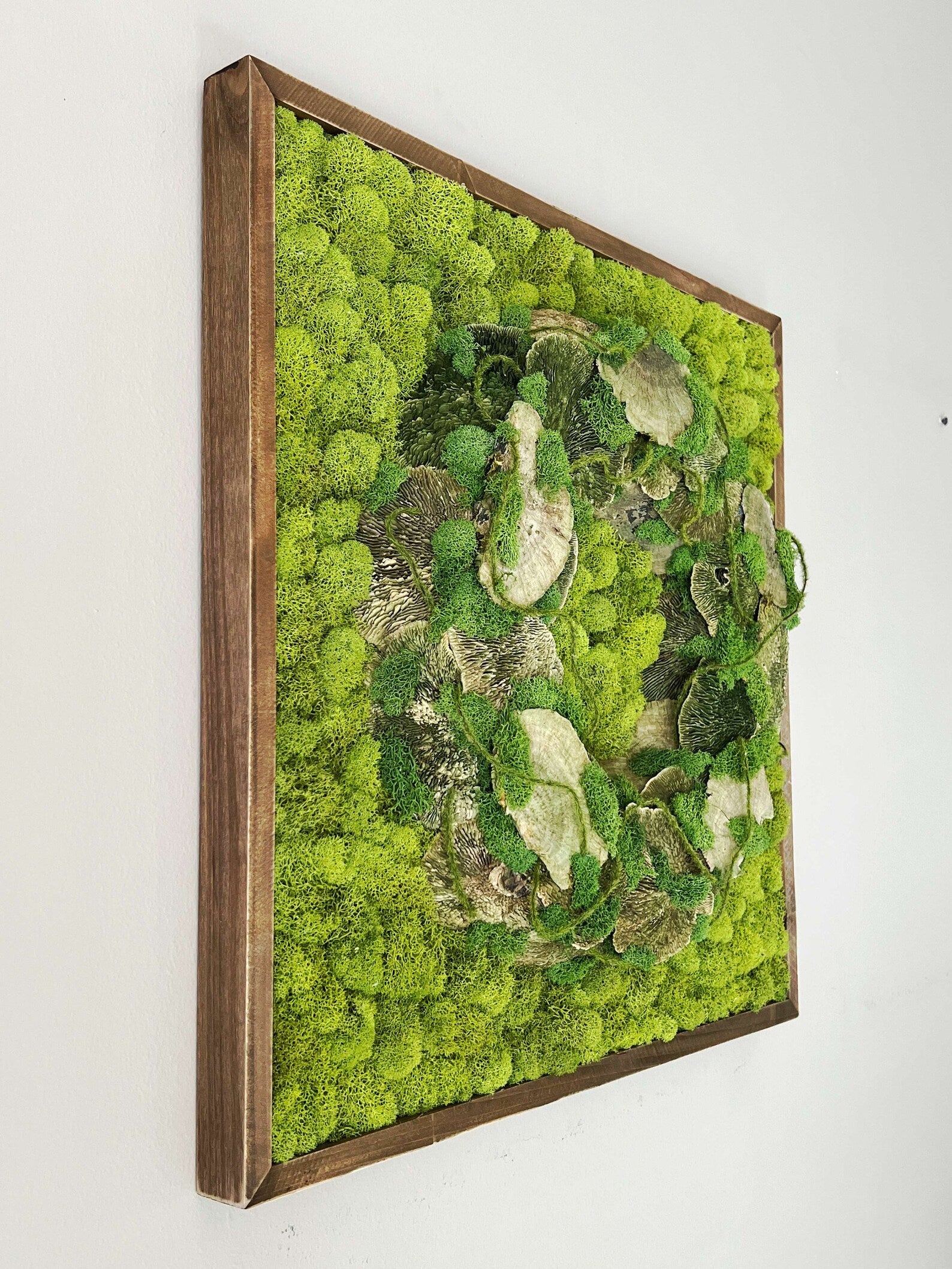 Natural Moss Artwork | Handmade Preserved Wall Decoration