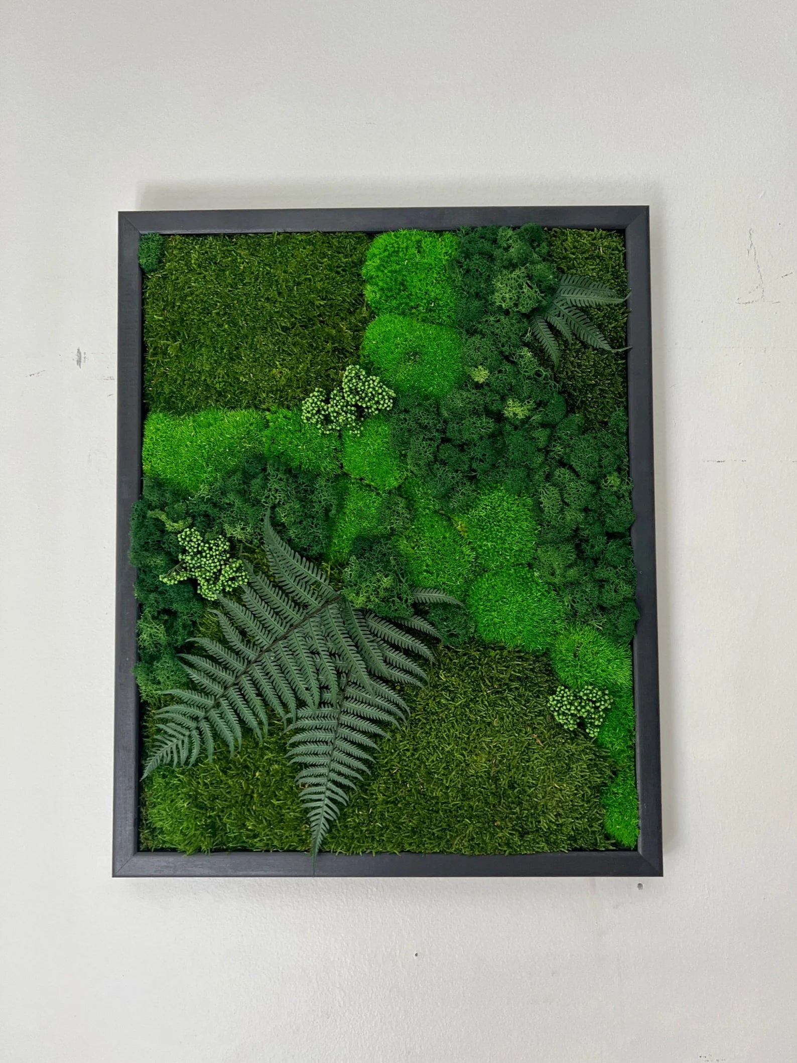 Moss Wall Art – Preserved Moss Frame with Pole Moss, Sheet Moss, Fern & Reindeer Moss