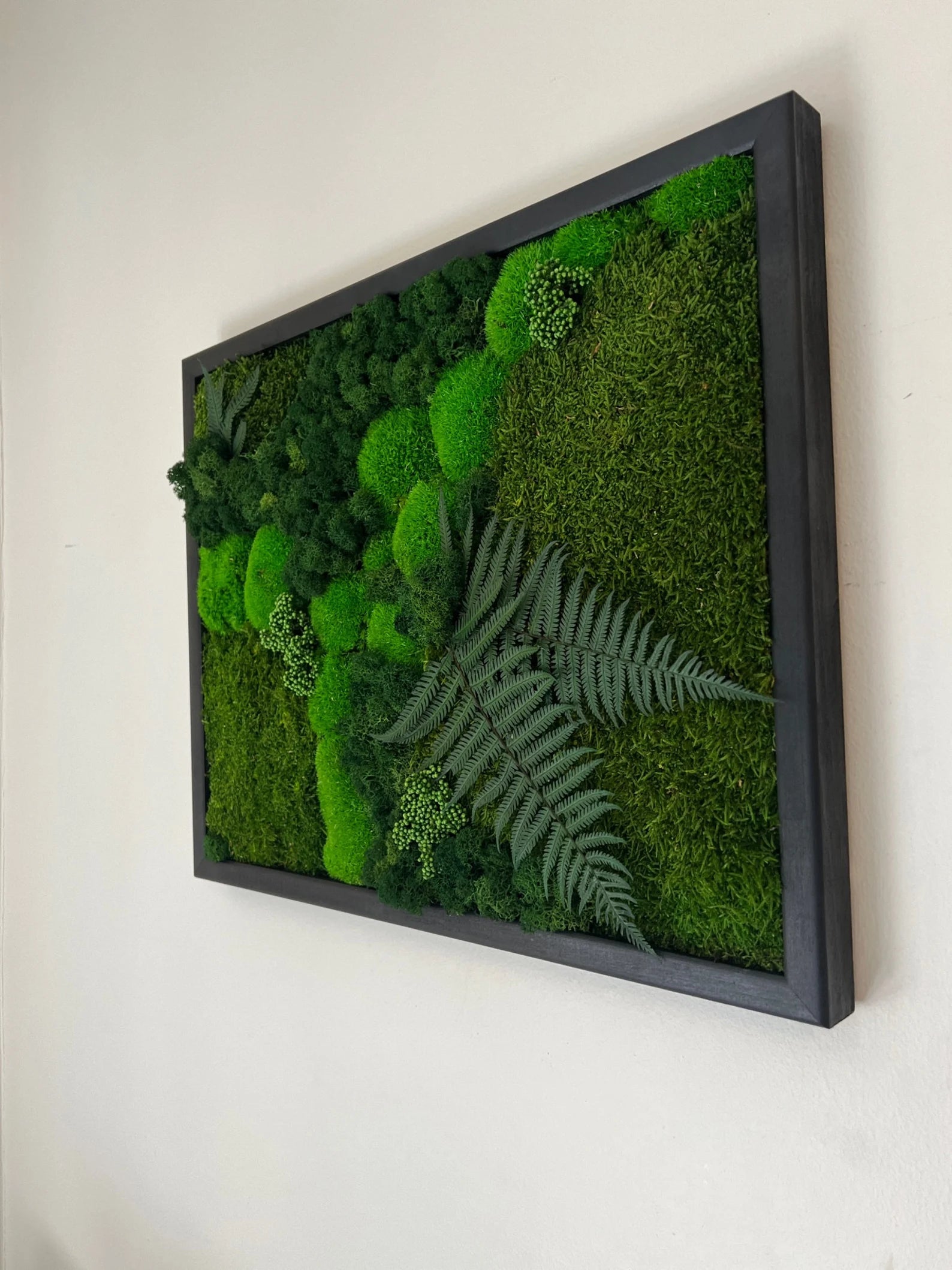 Moss Wall Art – Preserved Moss Frame with Pole Moss, Sheet Moss, Fern & Reindeer Moss