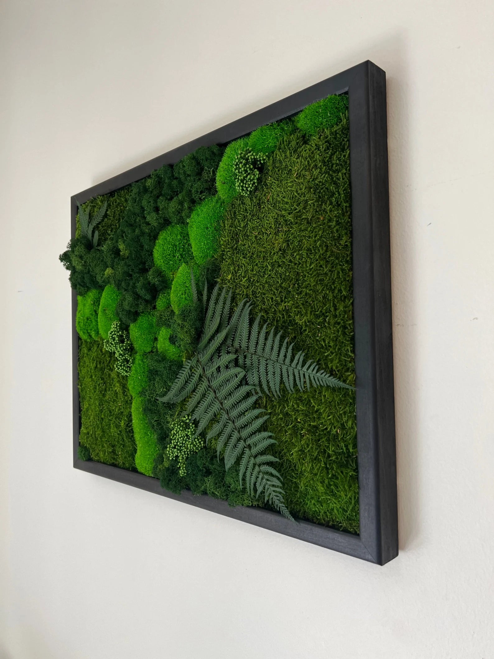 Moss Wall Art – Preserved Moss Frame with Pole Moss, Sheet Moss, Fern & Reindeer Moss