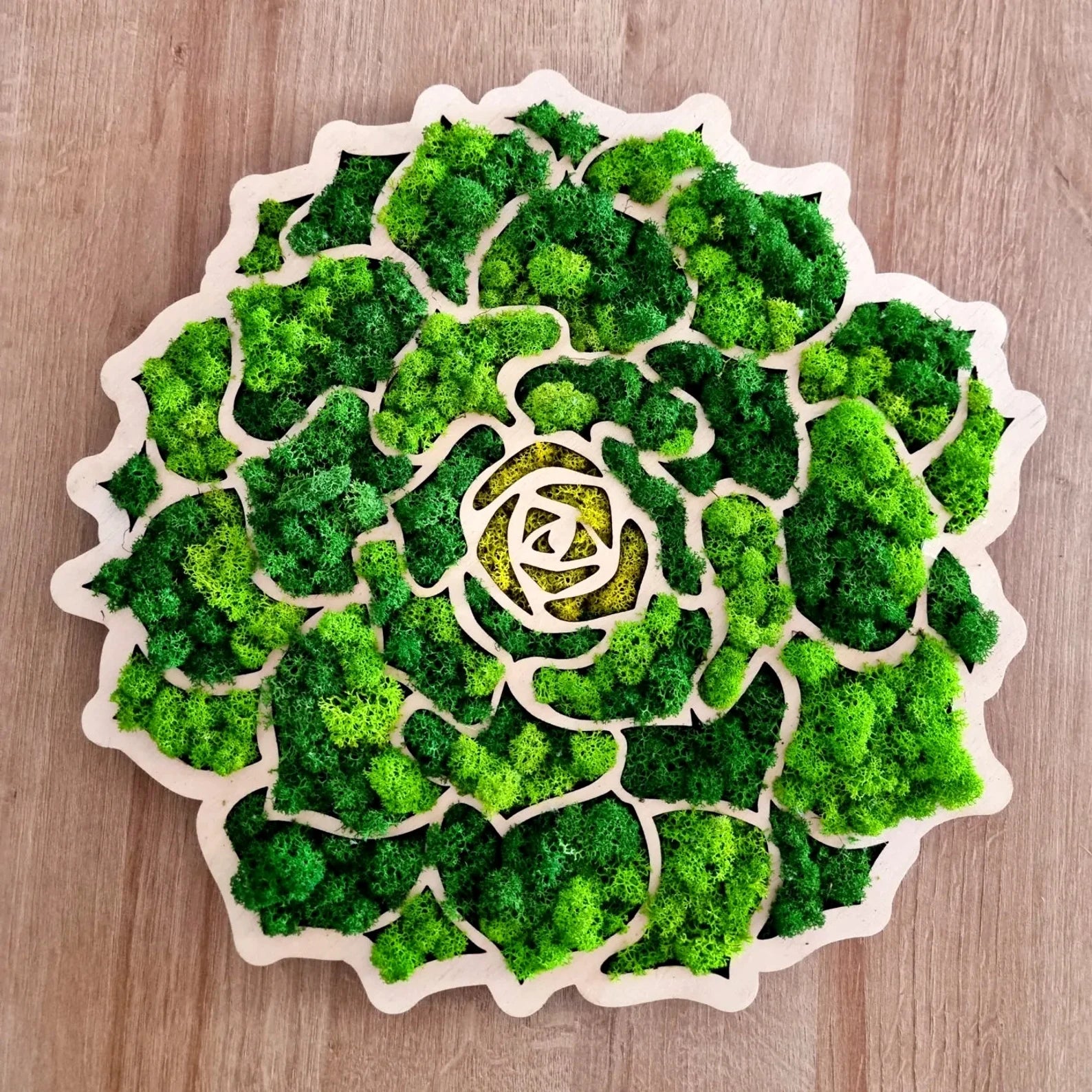 Moss Wall Art – Handmade Greenwall Decor, Earth Tone Nature Wall Accent