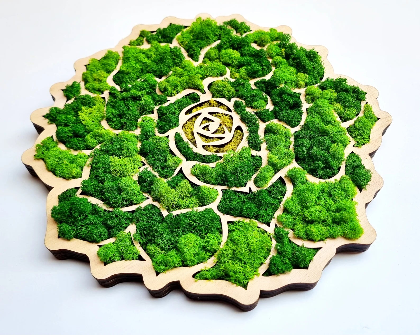 Moss Wall Art – Handmade Greenwall Decor, Earth Tone Nature Wall Accent