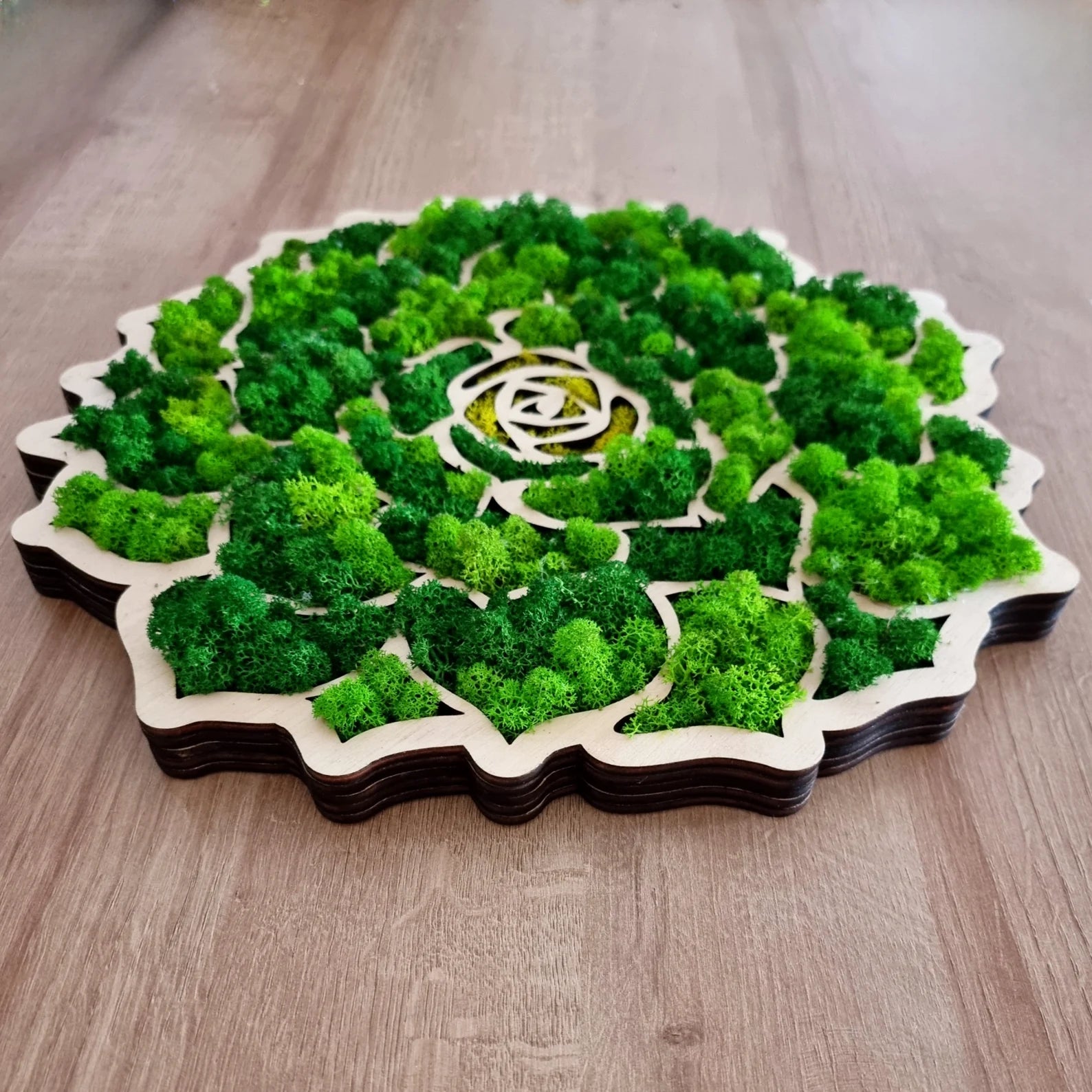 Moss Wall Art – Handmade Greenwall Decor, Earth Tone Nature Wall Accent