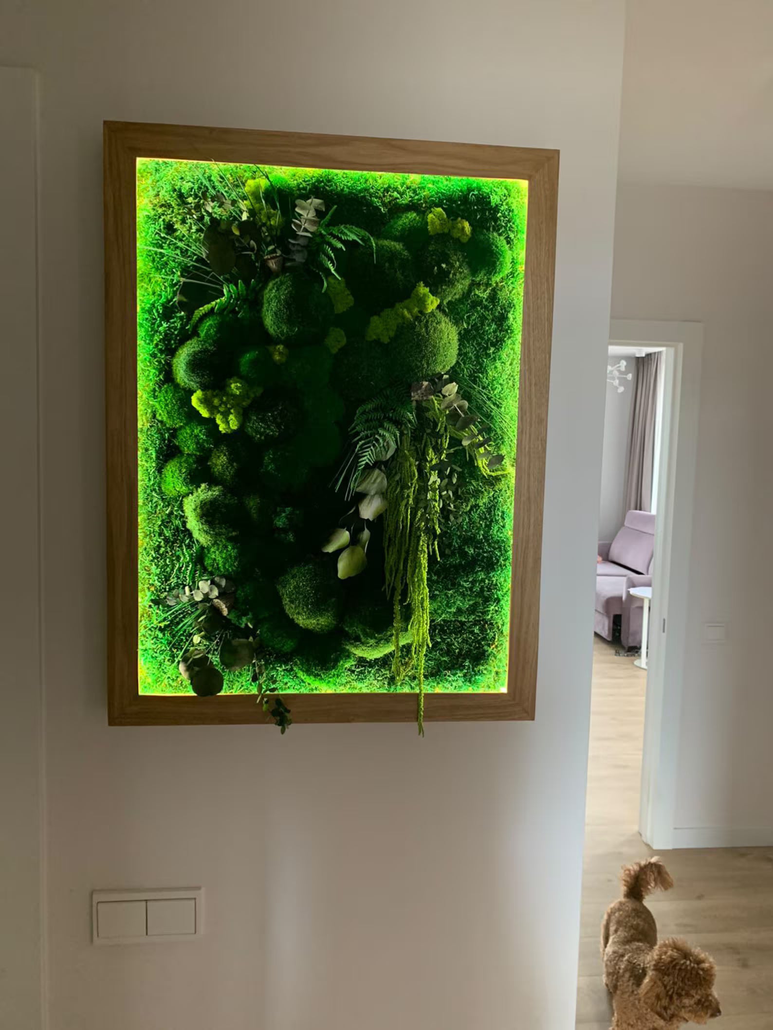 Moss Wall Art – Preserved Stabilized Moss in Wooden Frame for Home Decor
