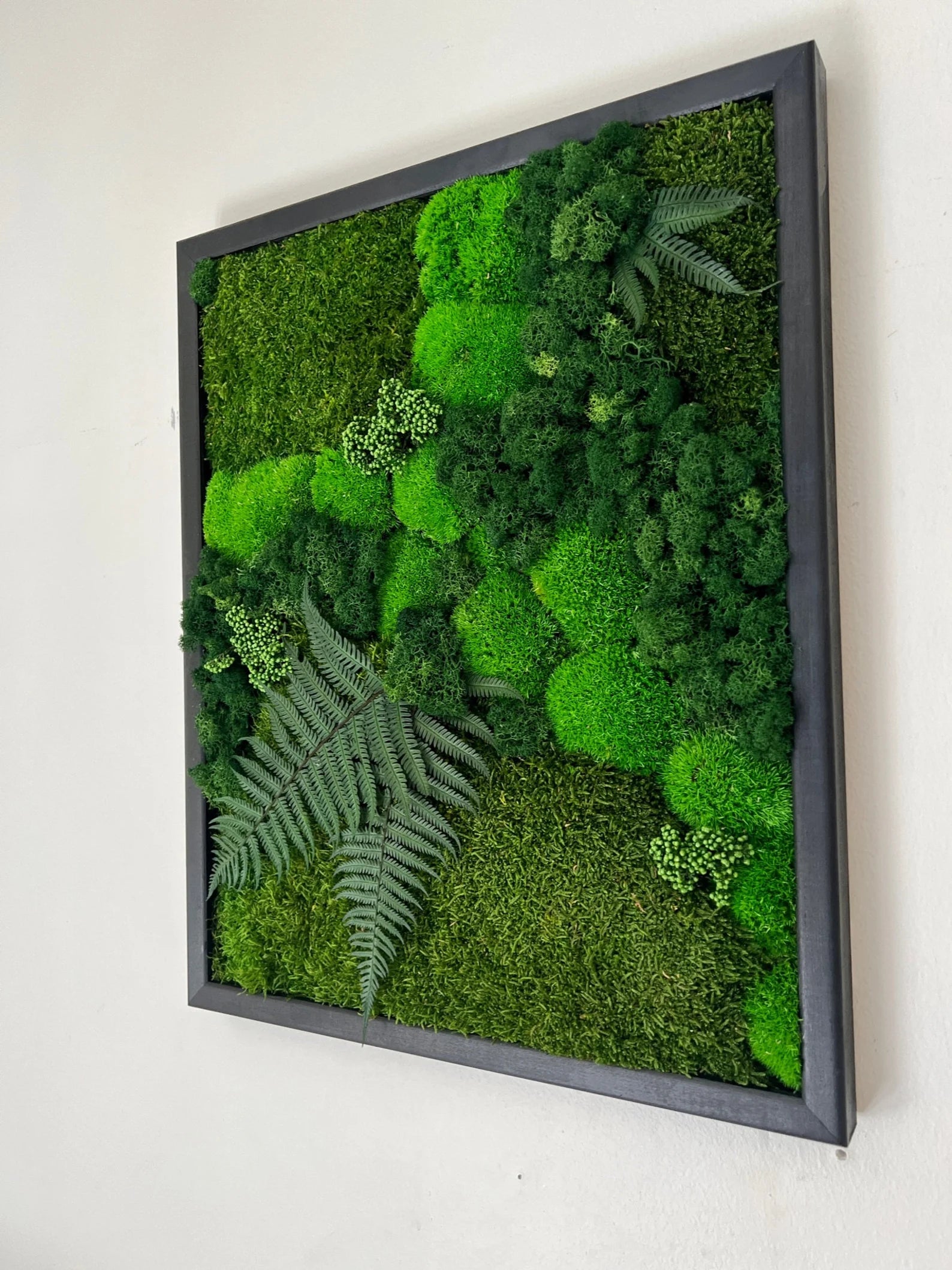 Moss Wall Art – Preserved Moss Frame with Pole Moss, Sheet Moss, Fern & Reindeer Moss