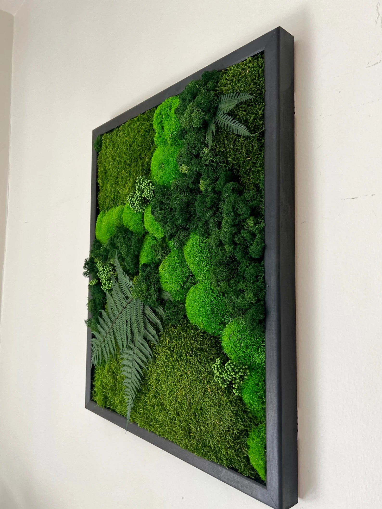 Moss Wall Art – Preserved Moss Frame with Pole Moss, Sheet Moss, Fern & Reindeer Moss