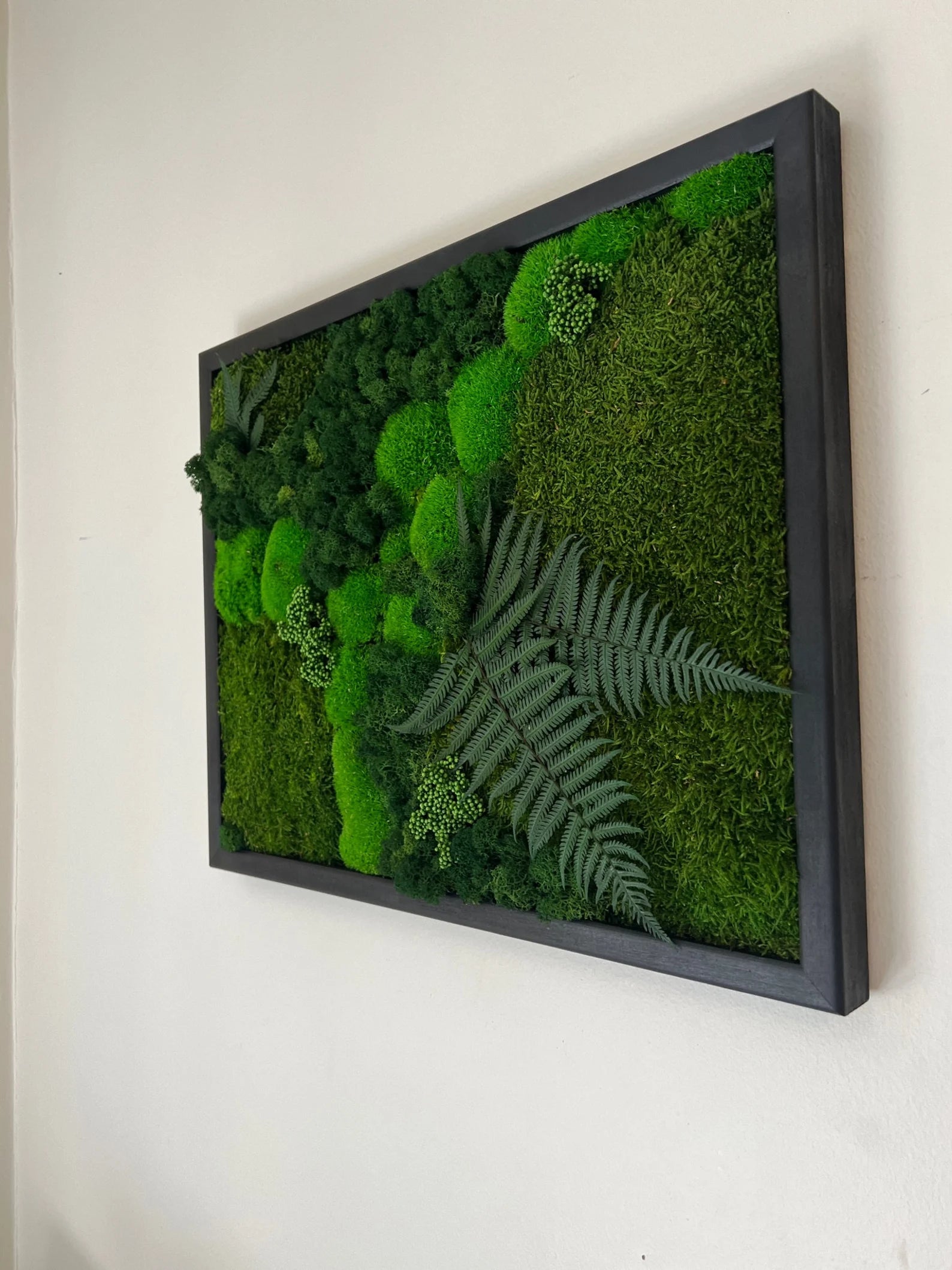 Moss Wall Art – Preserved Moss Frame with Pole Moss, Sheet Moss, Fern & Reindeer Moss