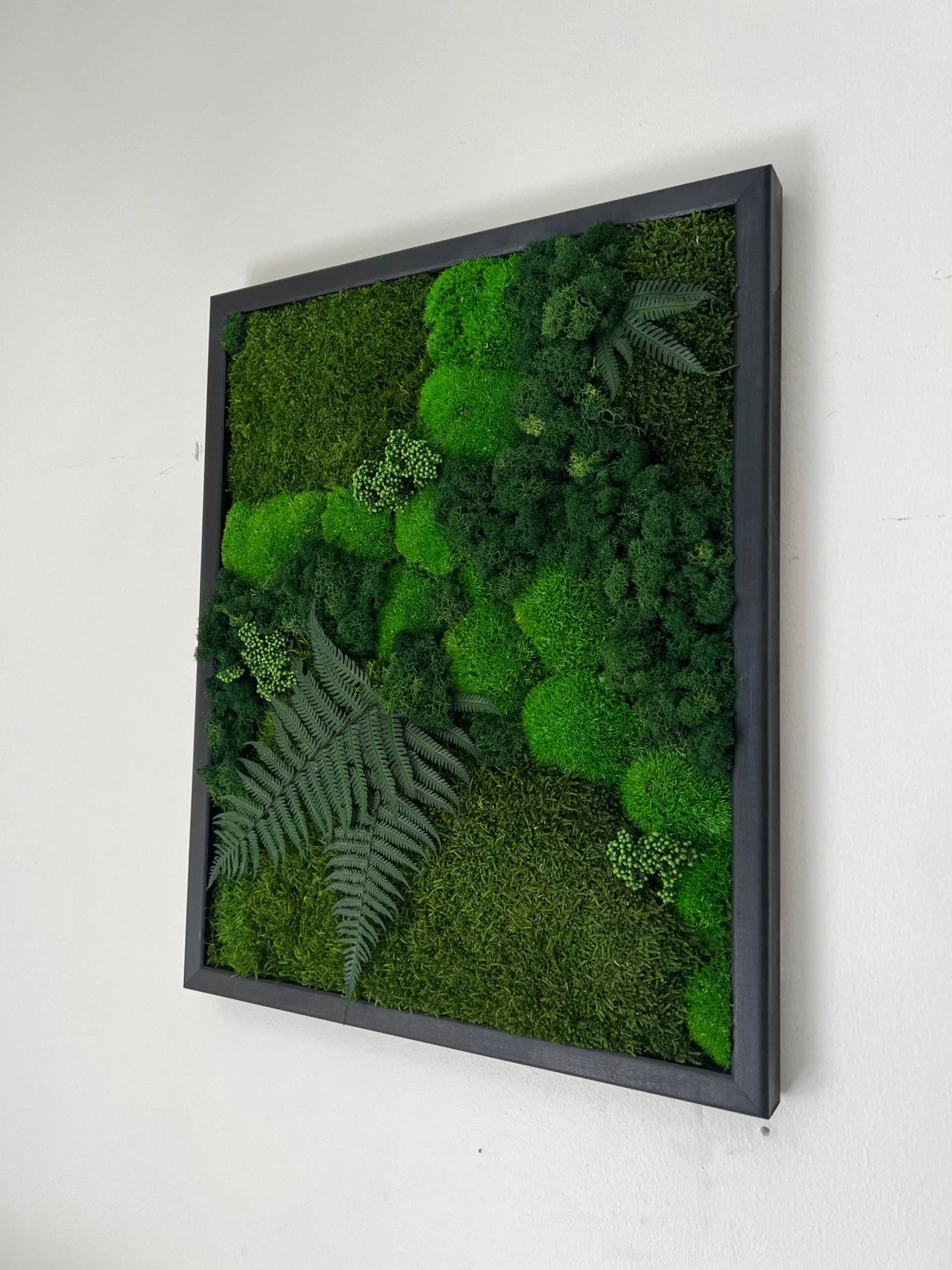 Moss Wall Art – Preserved Moss Frame with Pole Moss, Sheet Moss, Fern & Reindeer Moss