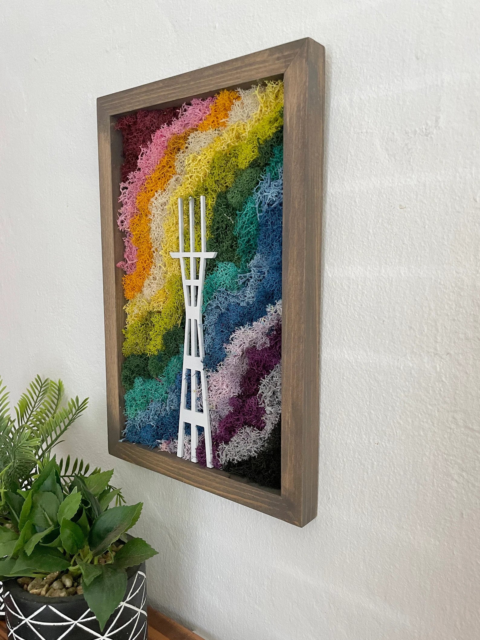 San Francisco Moss Art | Preserved Plants Rainbow Décor