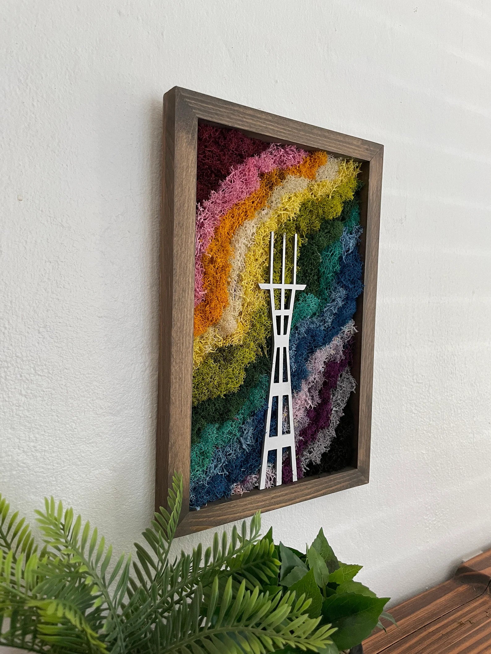 San Francisco Moss Art | Preserved Plants Rainbow Décor