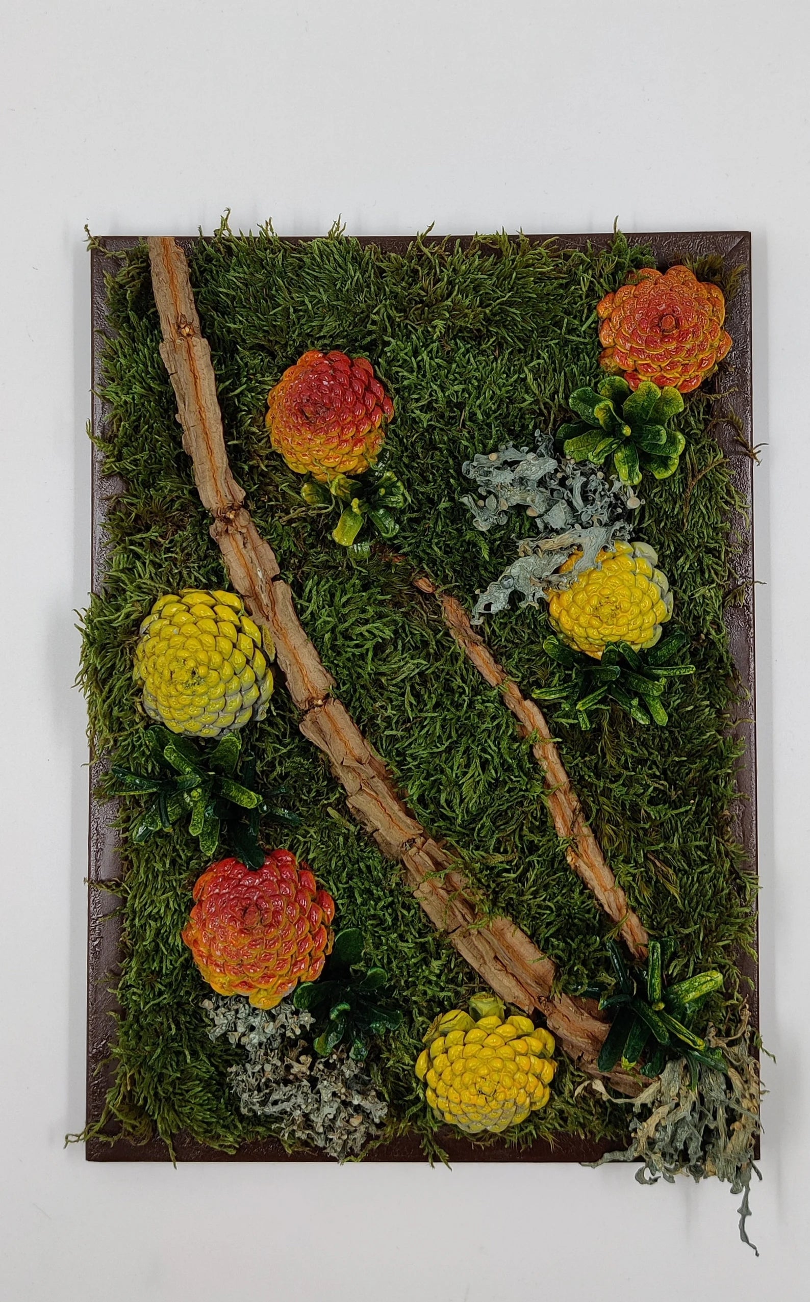 Succulent Wall Décor | Rustic Pine Frame Green Wall Gift