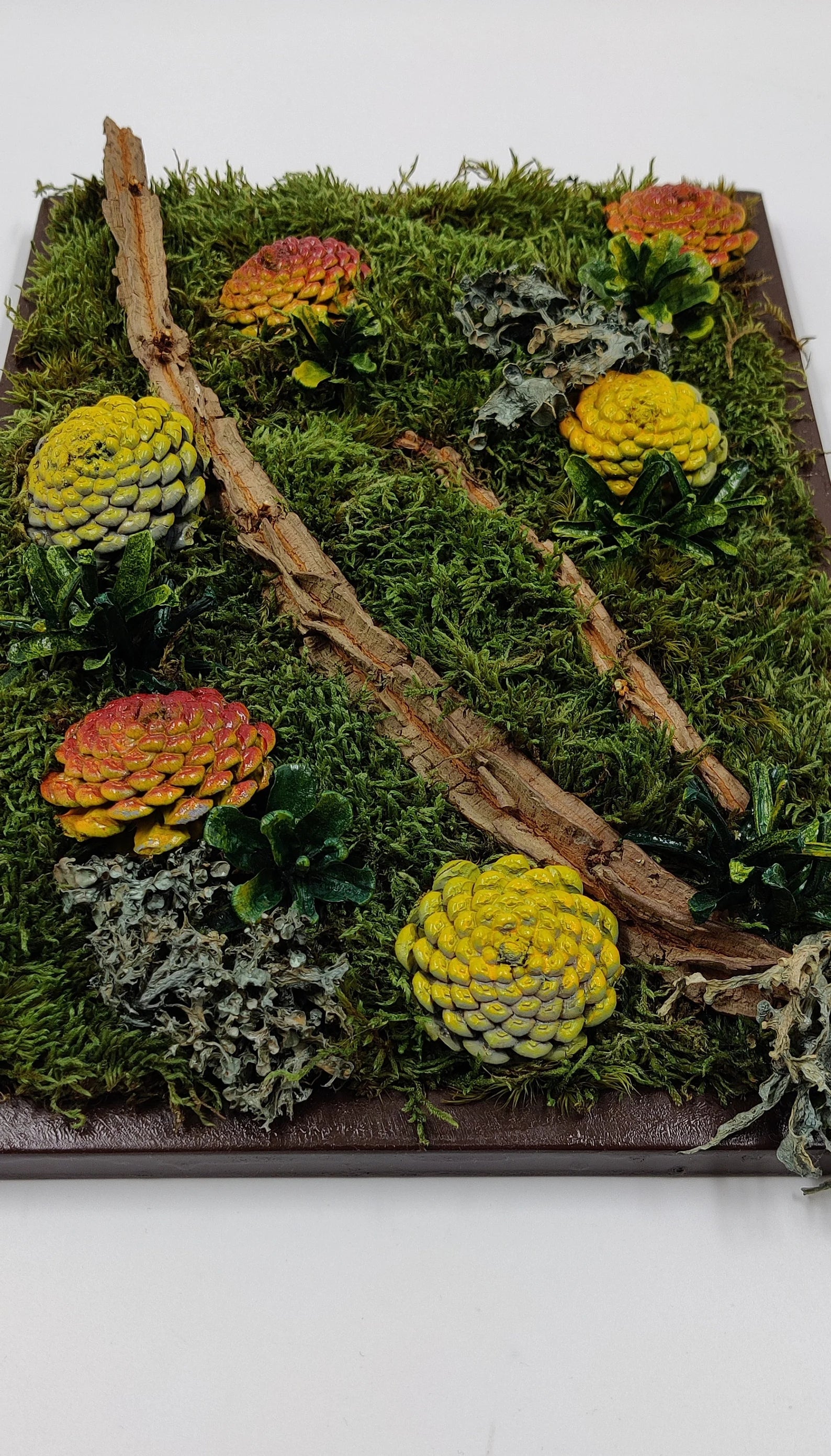 Succulent Wall Décor | Rustic Pine Frame Green Wall Gift