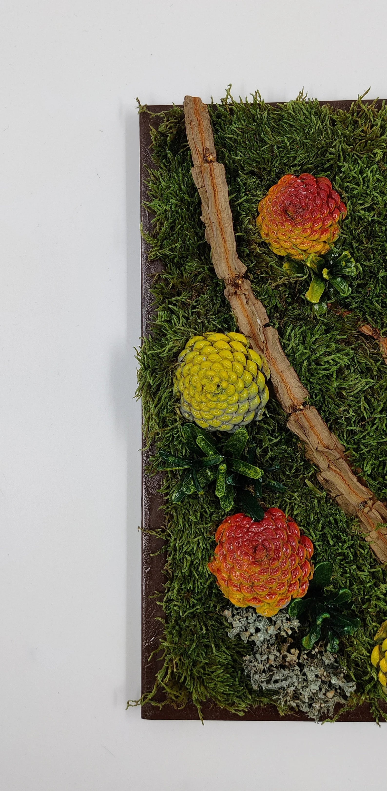 Succulent Wall Décor | Rustic Pine Frame Green Wall Gift