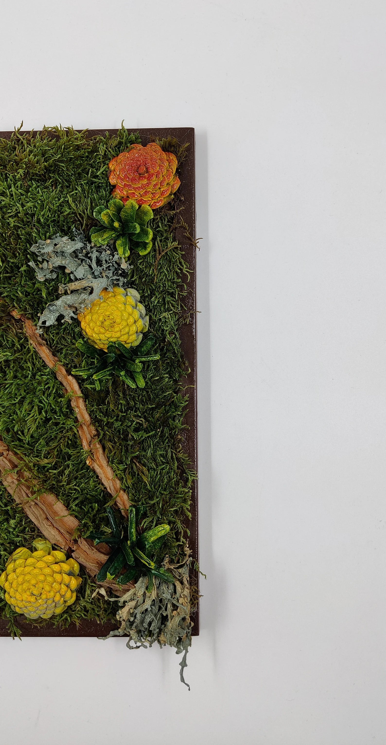 Succulent Wall Décor | Rustic Pine Frame Green Wall Gift