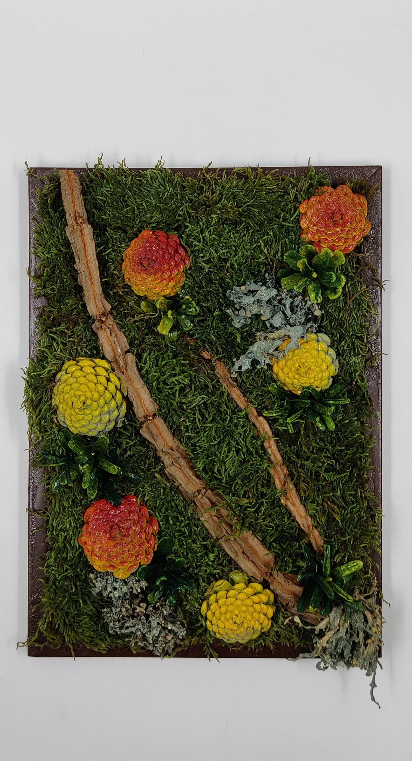 Succulent Wall Décor | Rustic Pine Frame Green Wall Gift