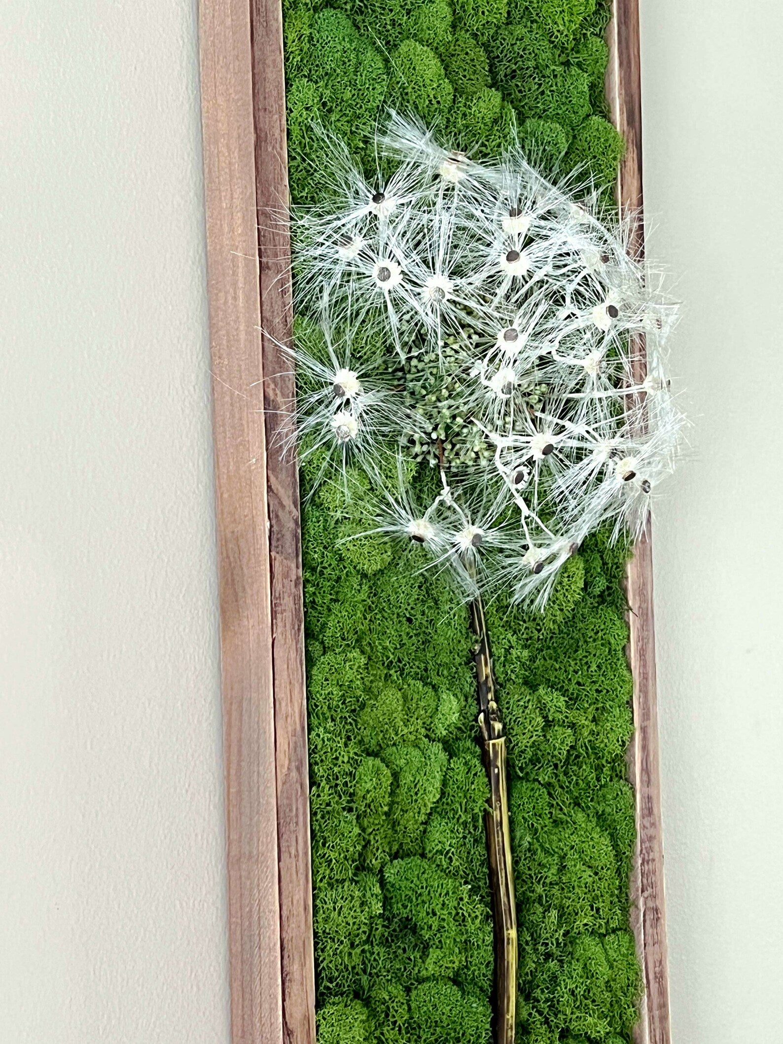 Preserved Moss Wall Art – Dandelion Design, Natural Wood Frame (36x8")
