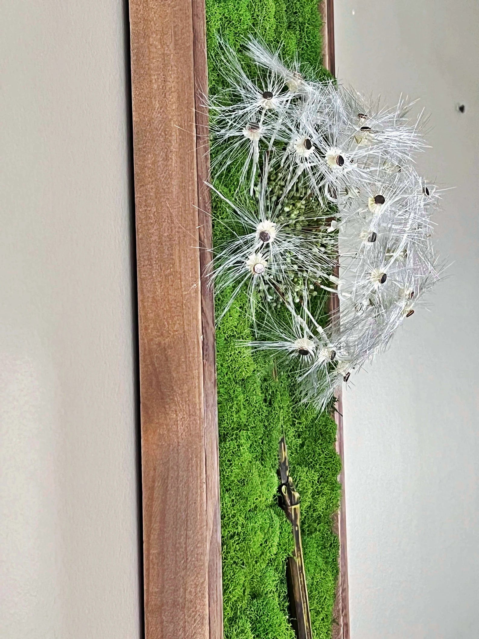 Preserved Moss Wall Art – Dandelion Design, Natural Wood Frame (36x8")
