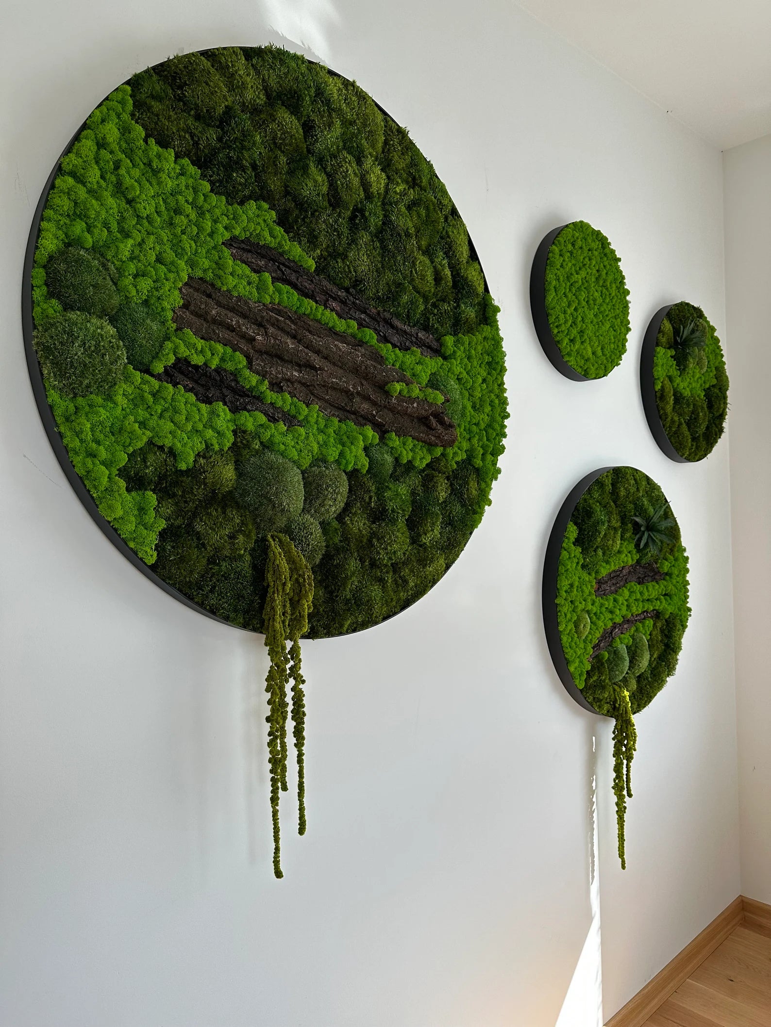 Set of 4 Moss Pictures – Preserved Moss Wall Art | Green Moss Frames for Modern Home & Office Decor