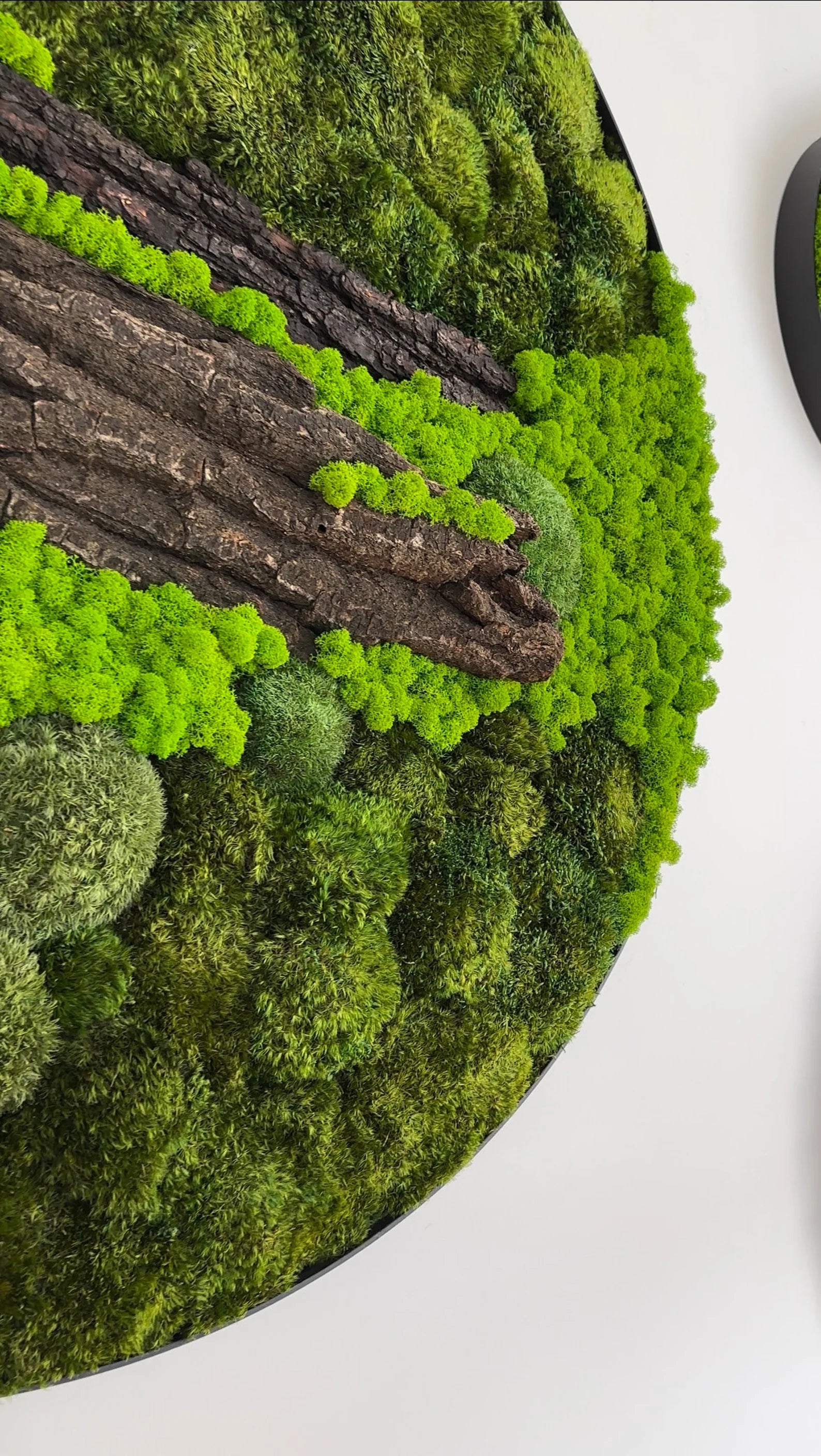 Set of 4 Moss Pictures – Preserved Moss Wall Art | Green Moss Frames for Modern Home & Office Decor