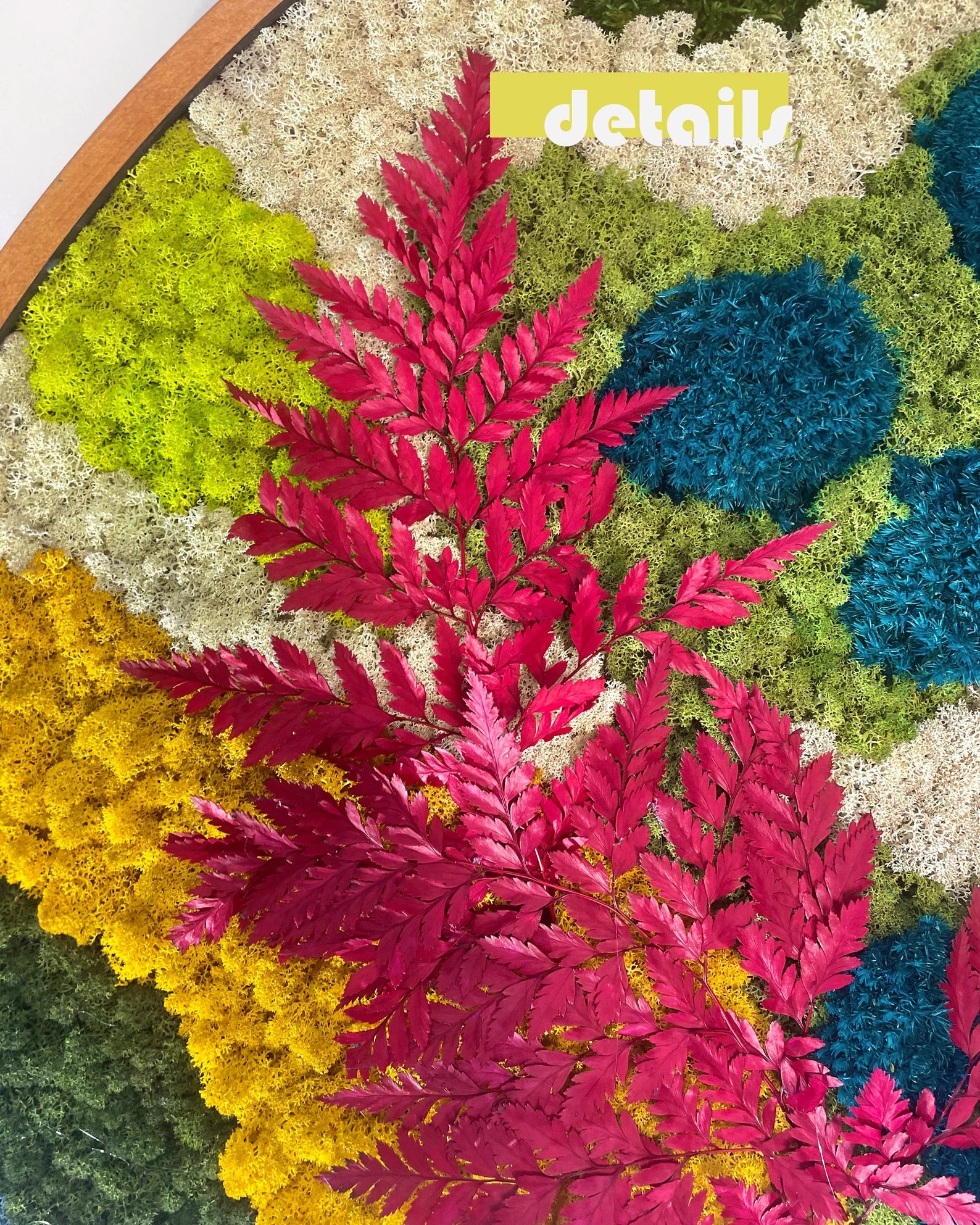 Extra Large Preserved Moss Wall Art – Natural Moss Decor with LED | Aesthetic Room Decoration